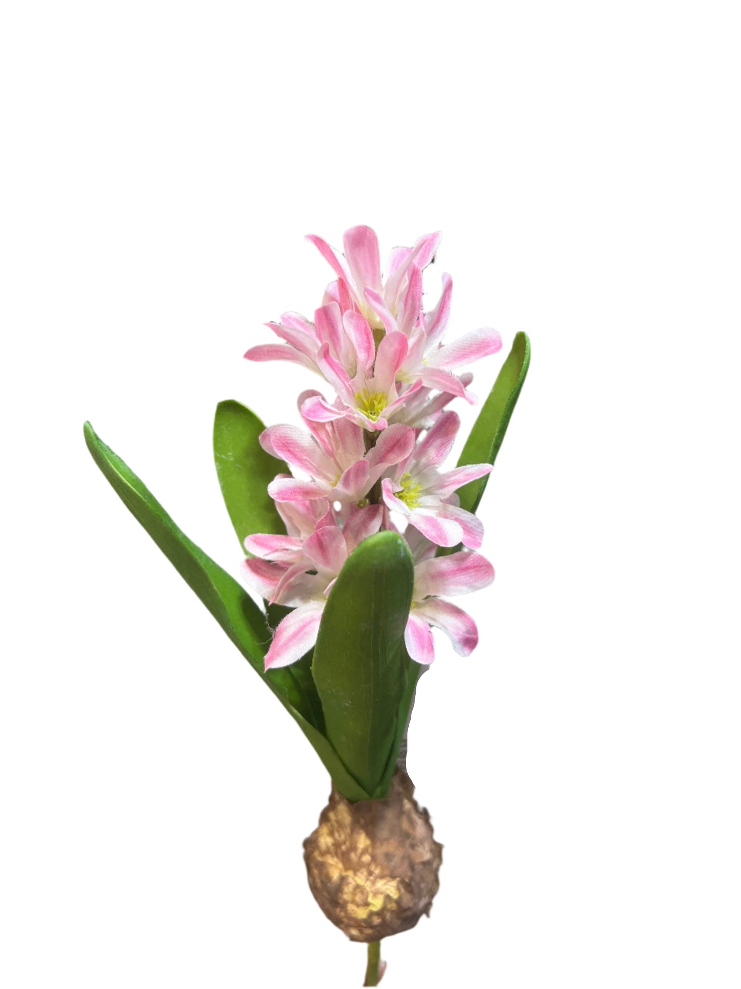 FL13576 HYACINTH w/BULD 11.5in-24/240P