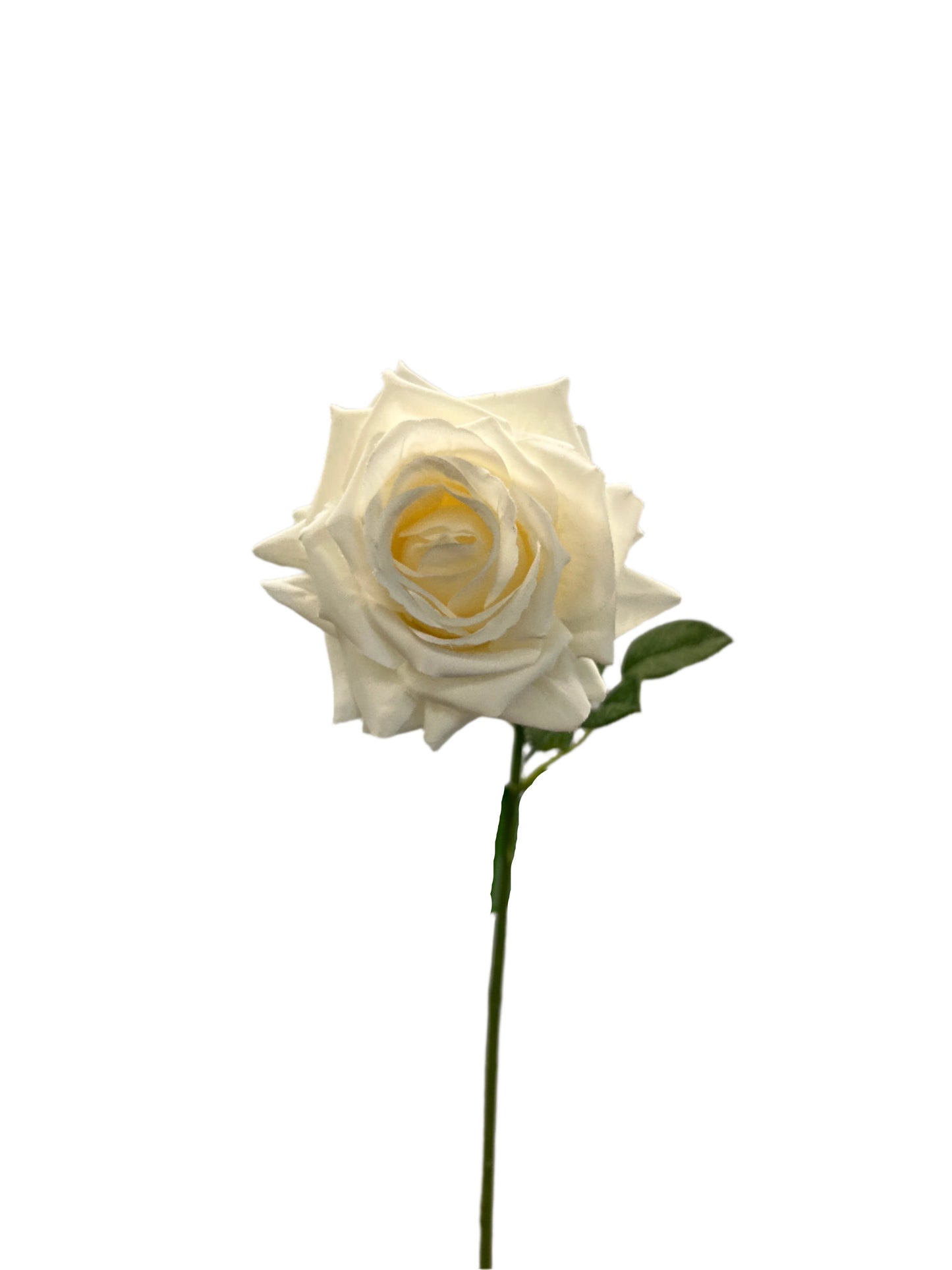 FL13539 QUEEN ROSE SPRAY 24"