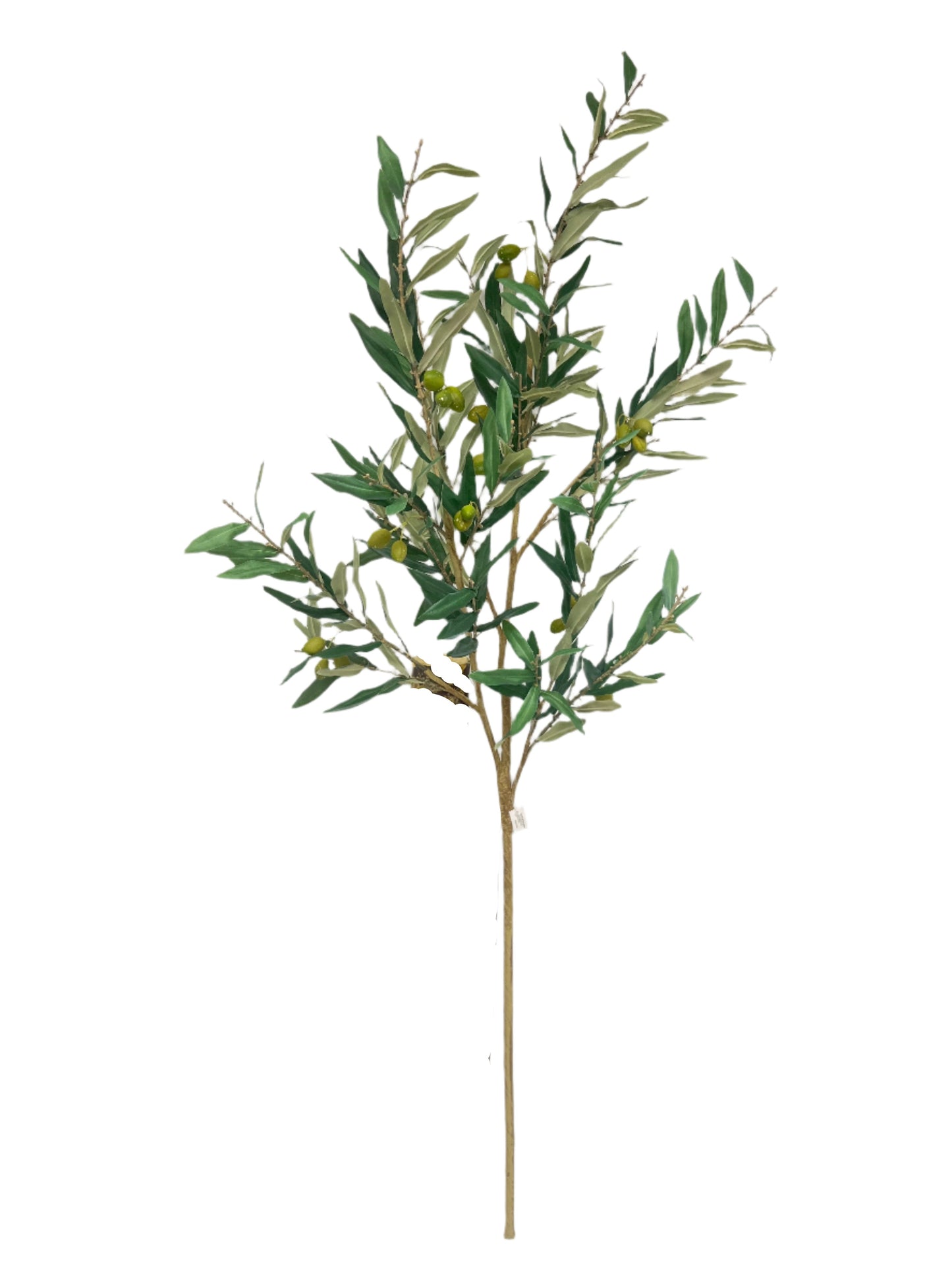 SY11075 OLIVE BRANCH,56"