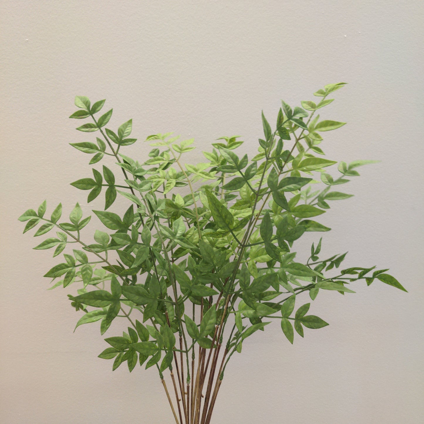 BG10575 ARALIA BUSHx15,33"