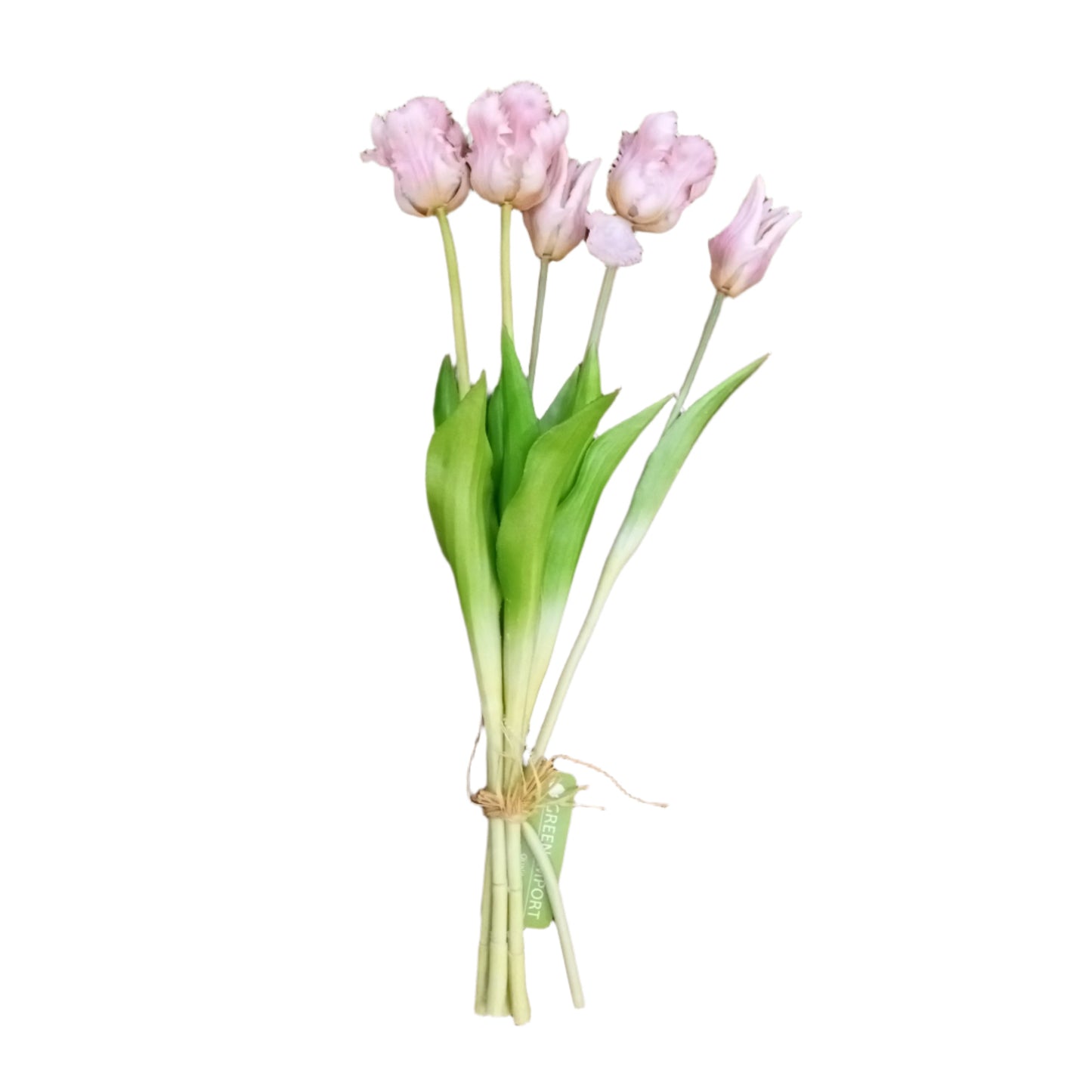PA10204 TULIP BUNDLEx3F2B,19.5in-12BN/72