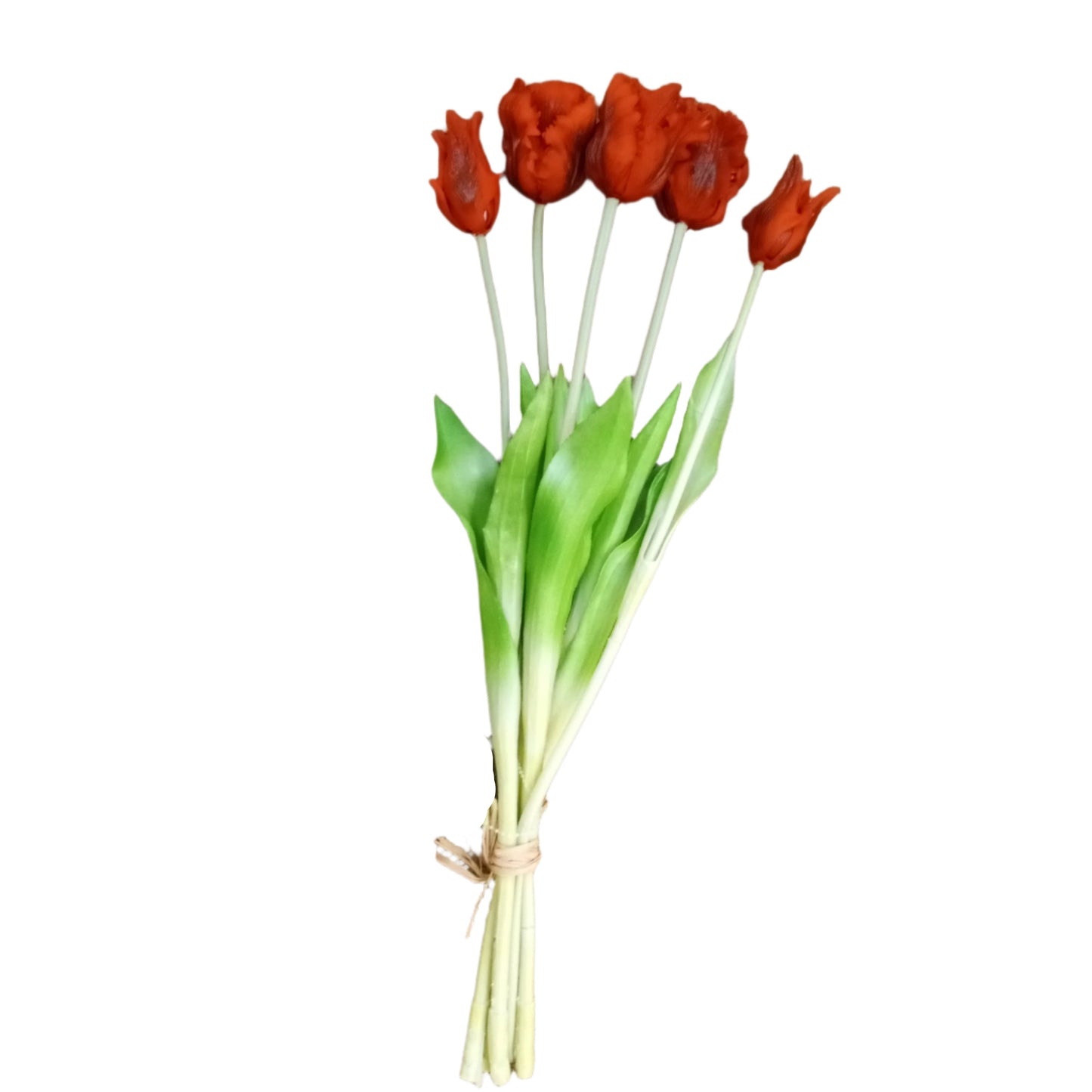 PA10204 TULIP BUNDLEx3F2B,19.5in-12BN/72
