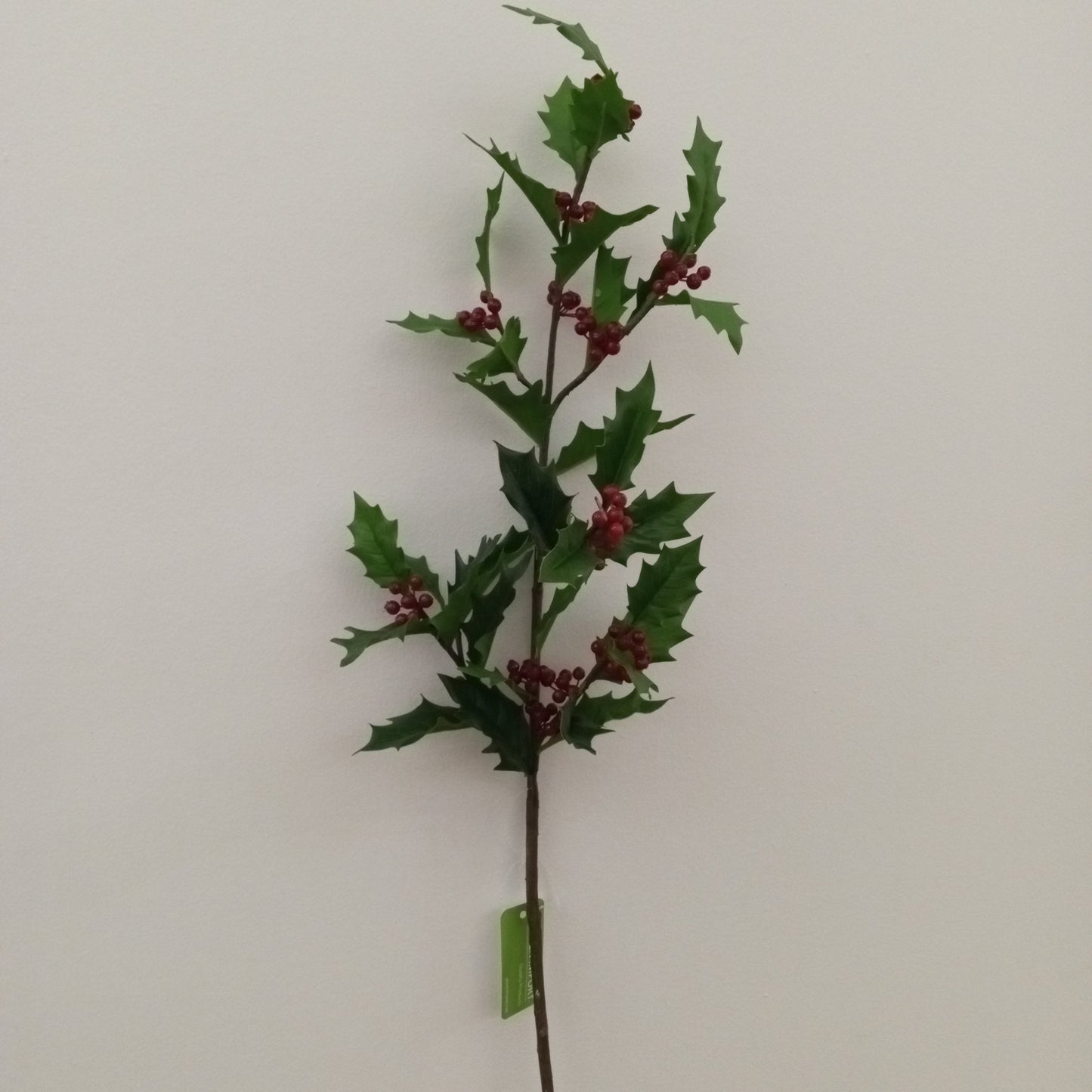 XM11704 HOLLY/BERRY SPRAY,42in-12P/48/6.69'