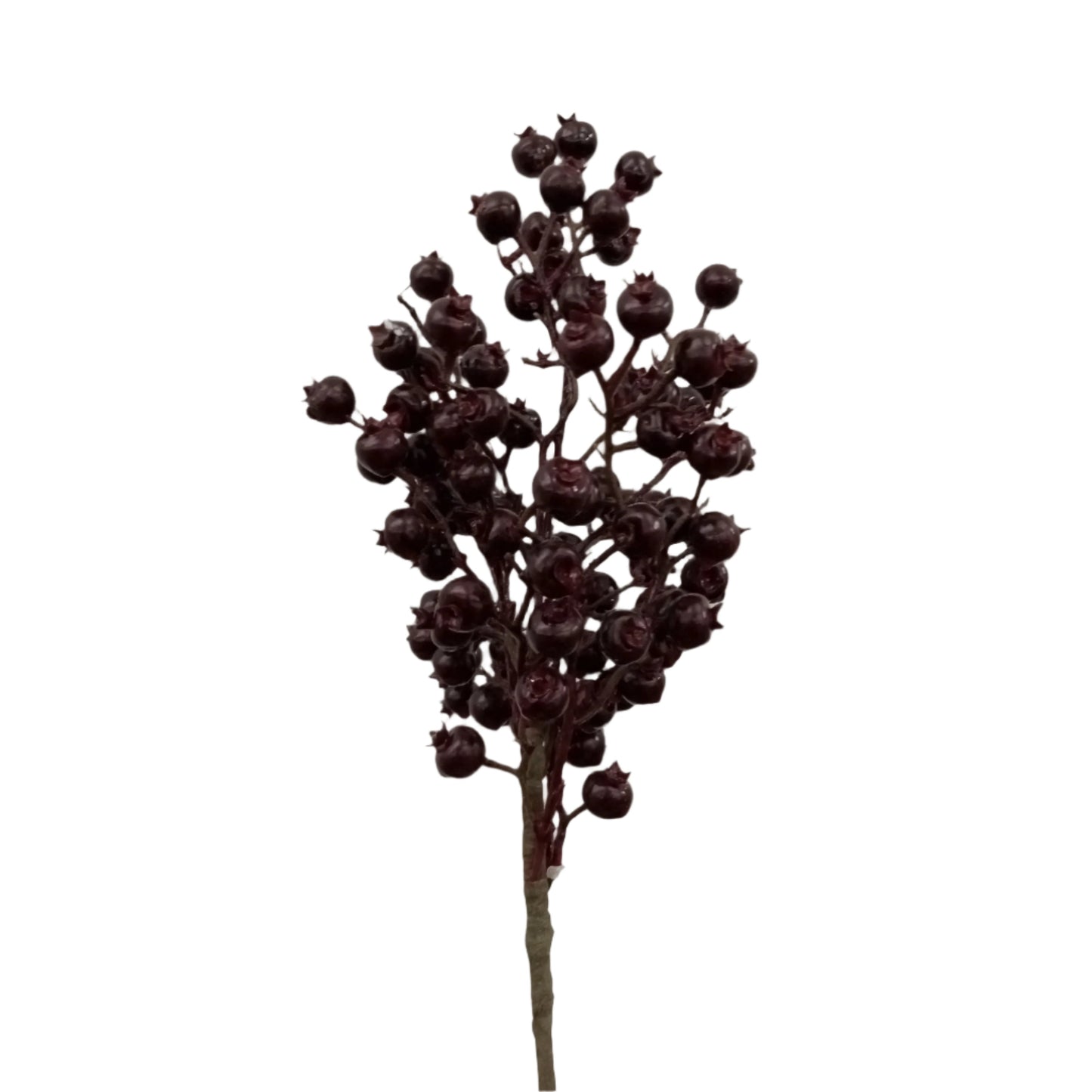 BE10123 ROSEHIP BUSH (WTR-PF),17.5in-12P/60