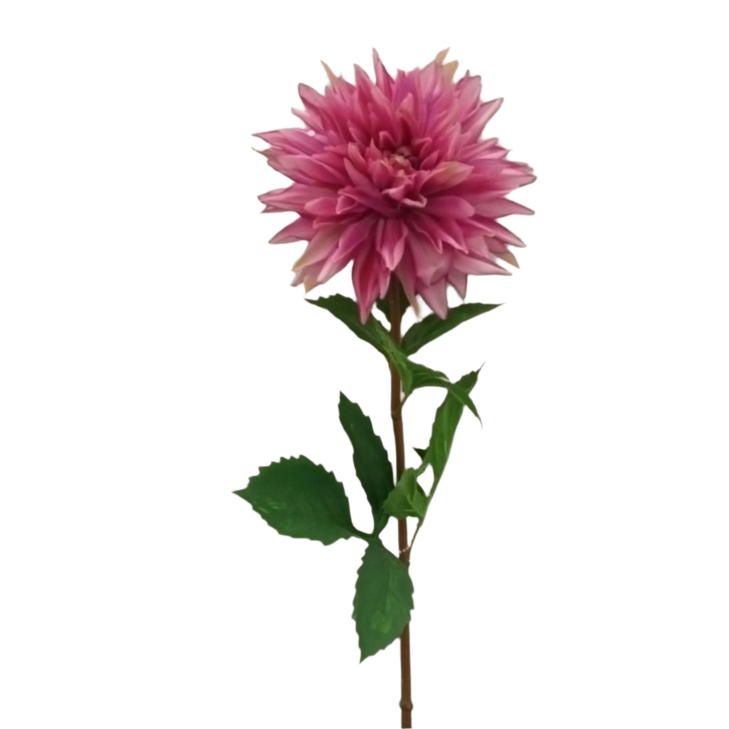 FL13231 DAHLIA SPRAY(NAT), 29"