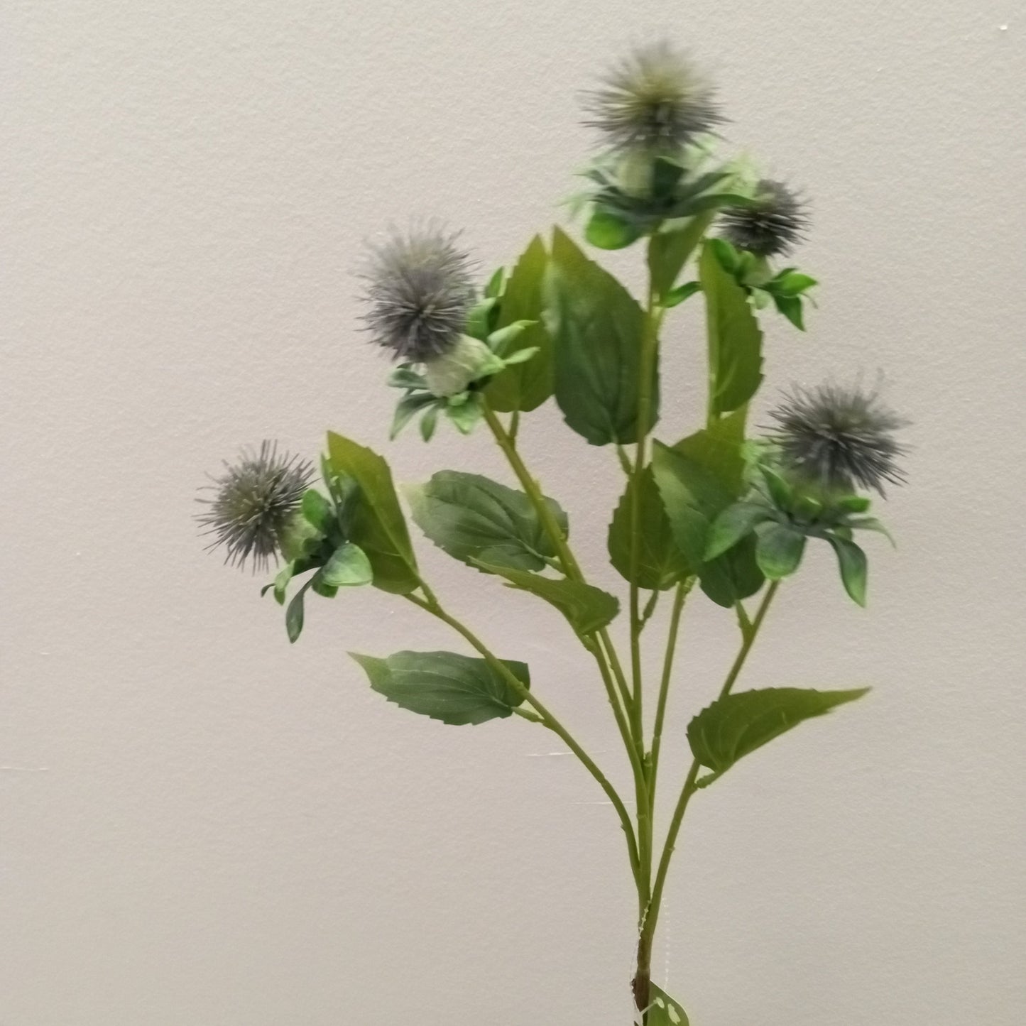 FL12071 SAFFLOWER SPRAYx6,31in-12P/144/9'
