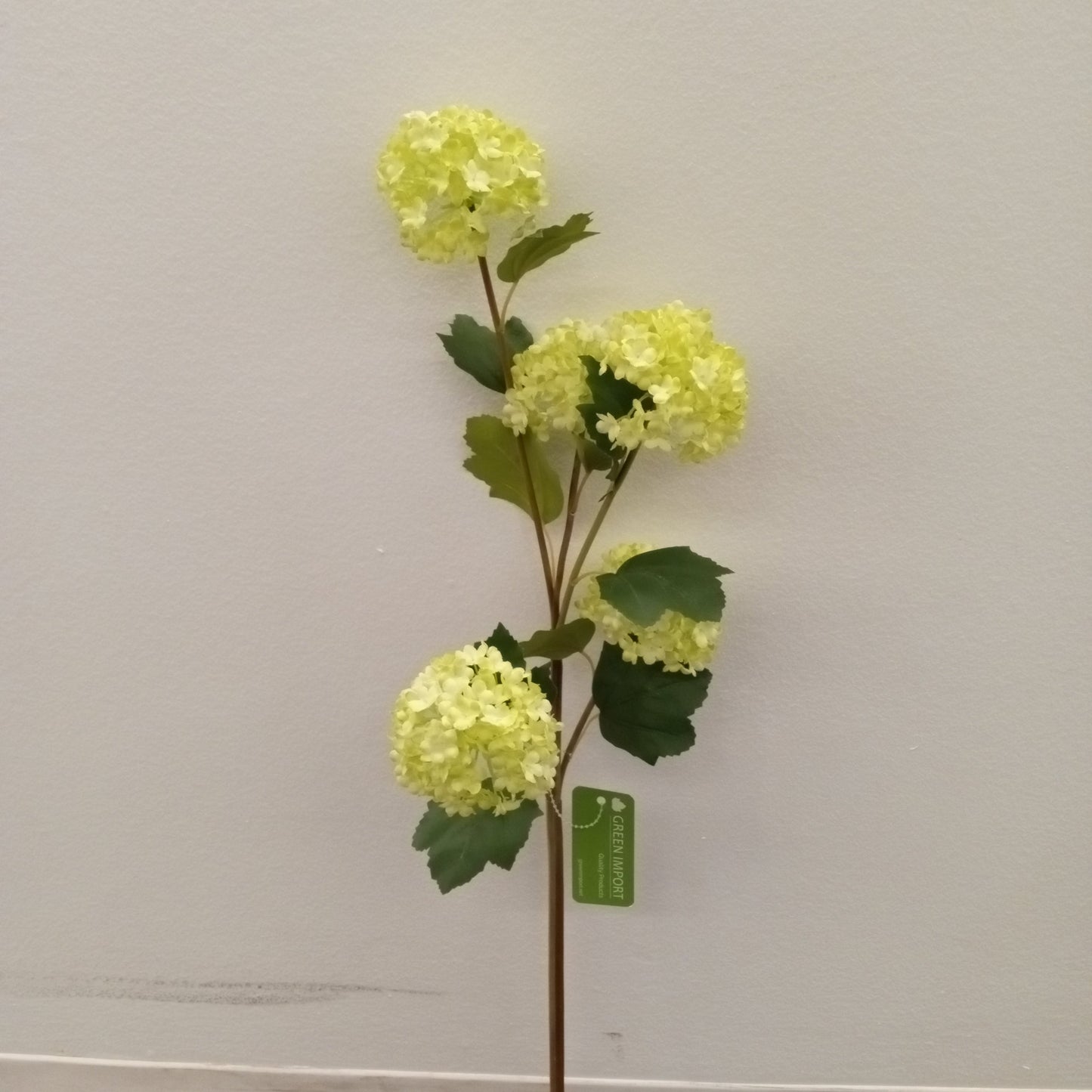 FL11602 SNOWBALL SPRAYx5,30in-12P/120/7.06'