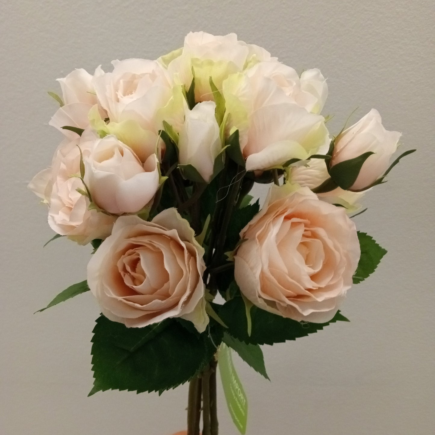 PA10151 ROSE BQTx4,16in-6BT/72/8.83'