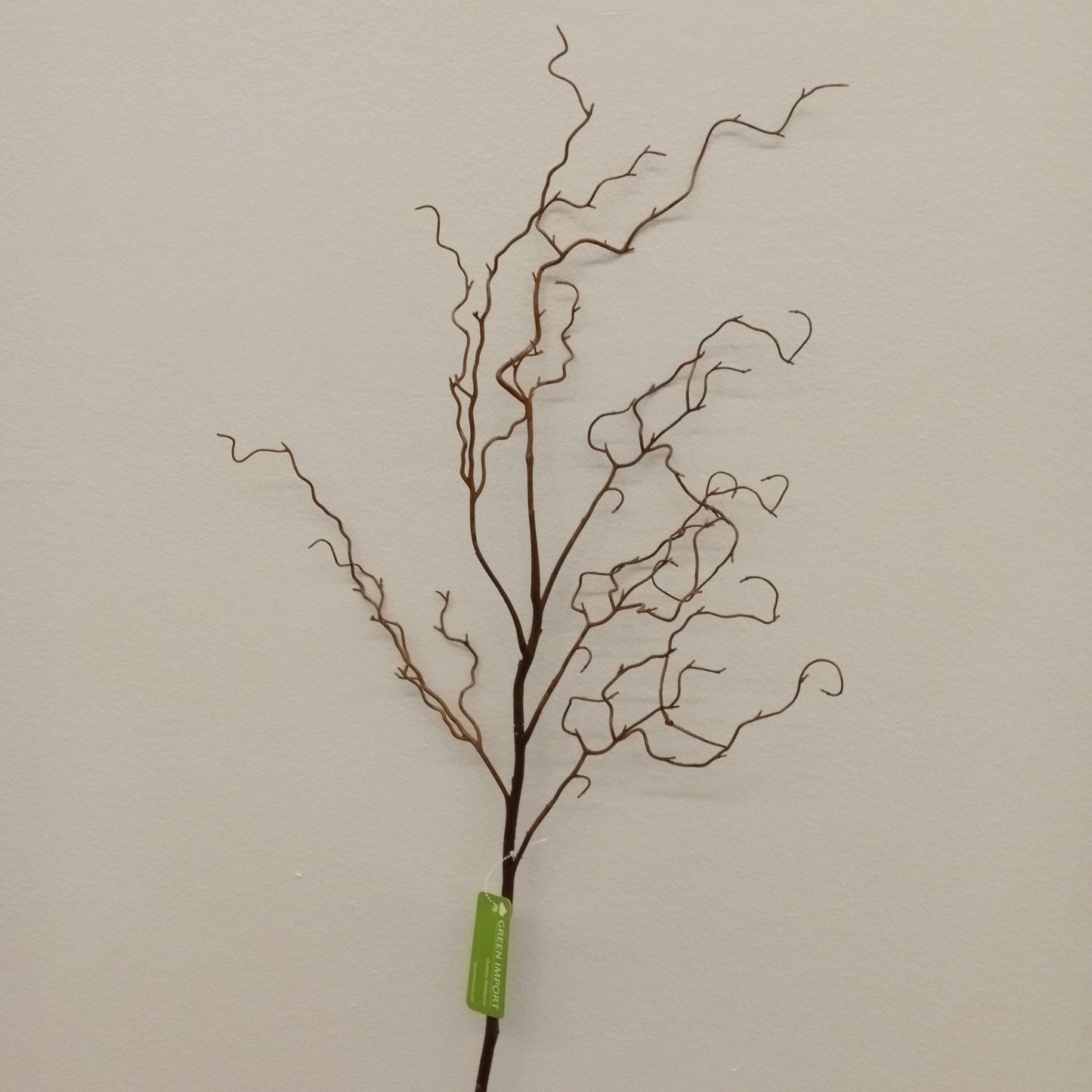 SY11042 CURLY WILLOW SPRAY, 48"