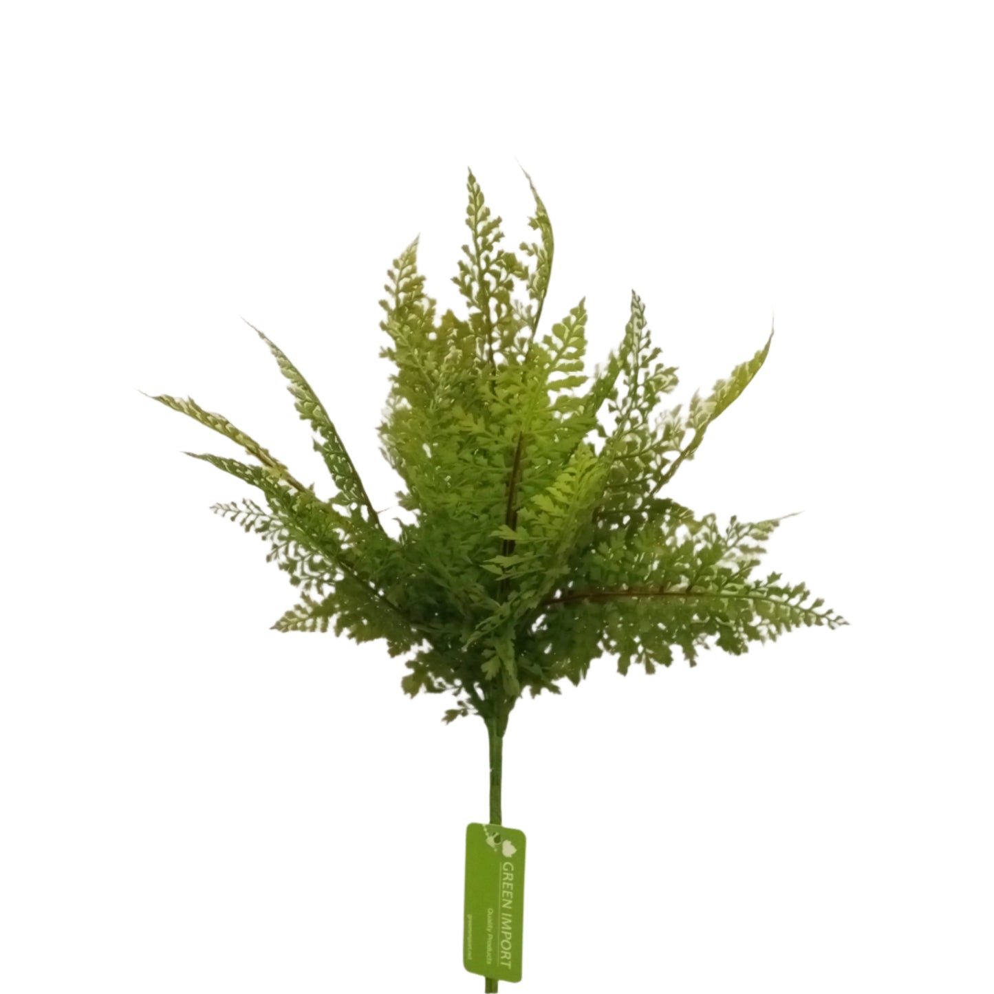 BG10605 MAIDENHAIR FERN,24"