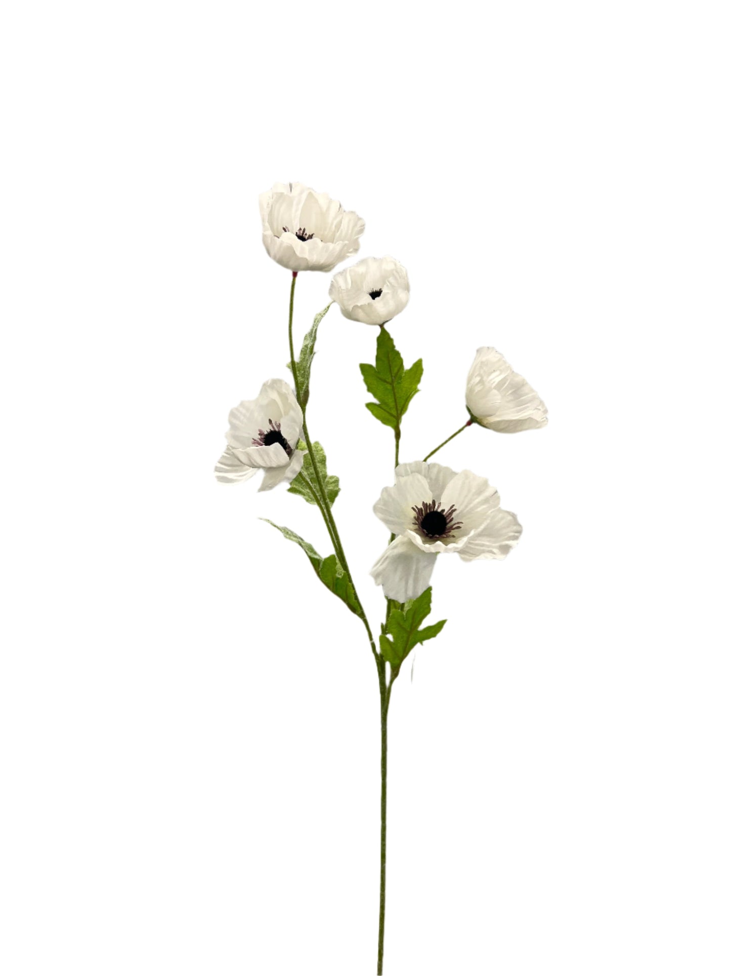 FL13532 MINI POPPY SPRAYx5F 28"