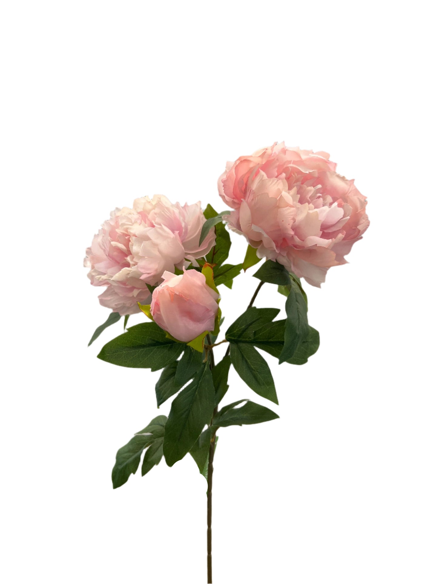 FL13504 PEONY SPRAYx3F 28"