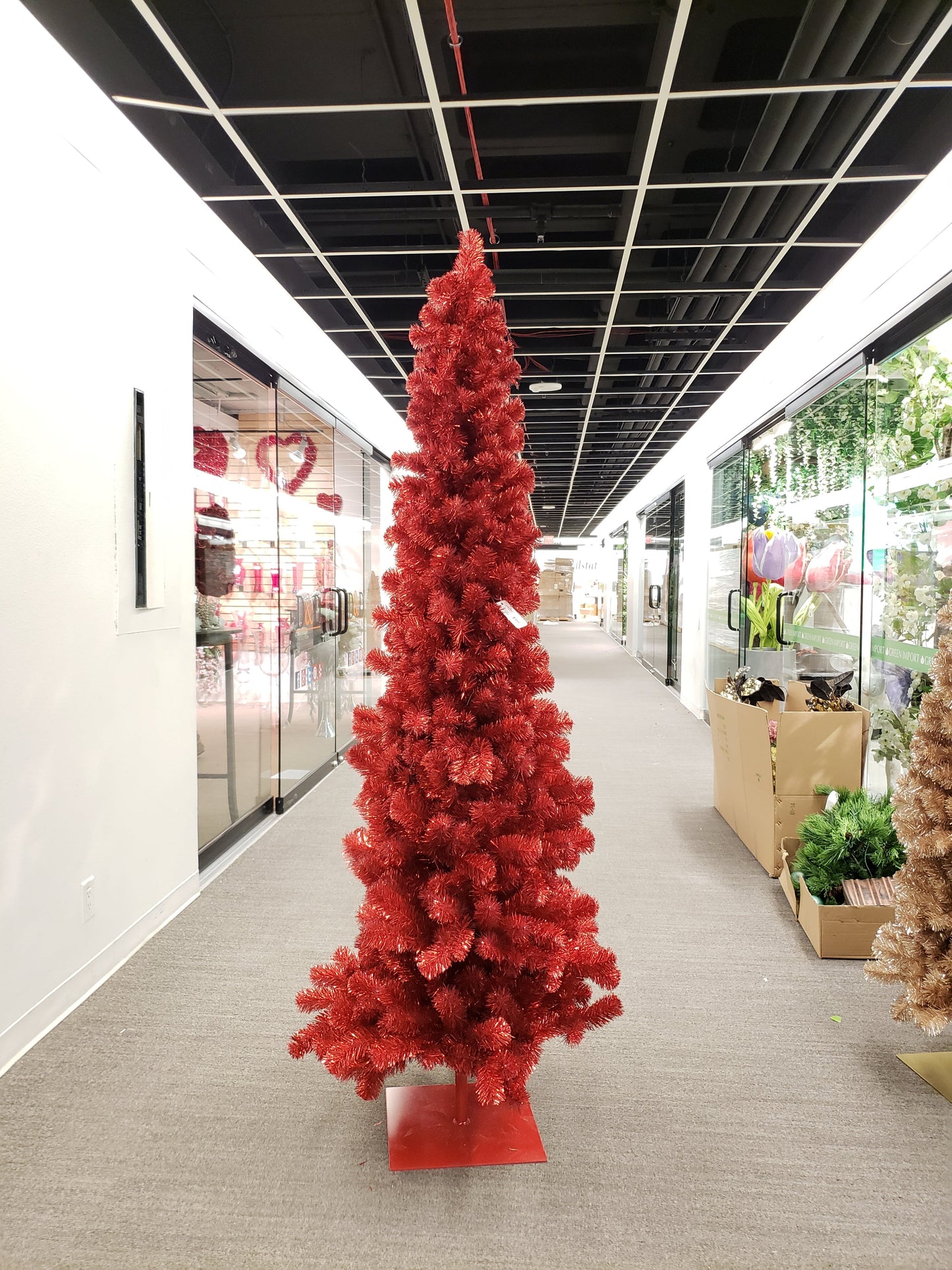 XM12242 REGULAR CUT TINSEL SLIM TR,5'x25in