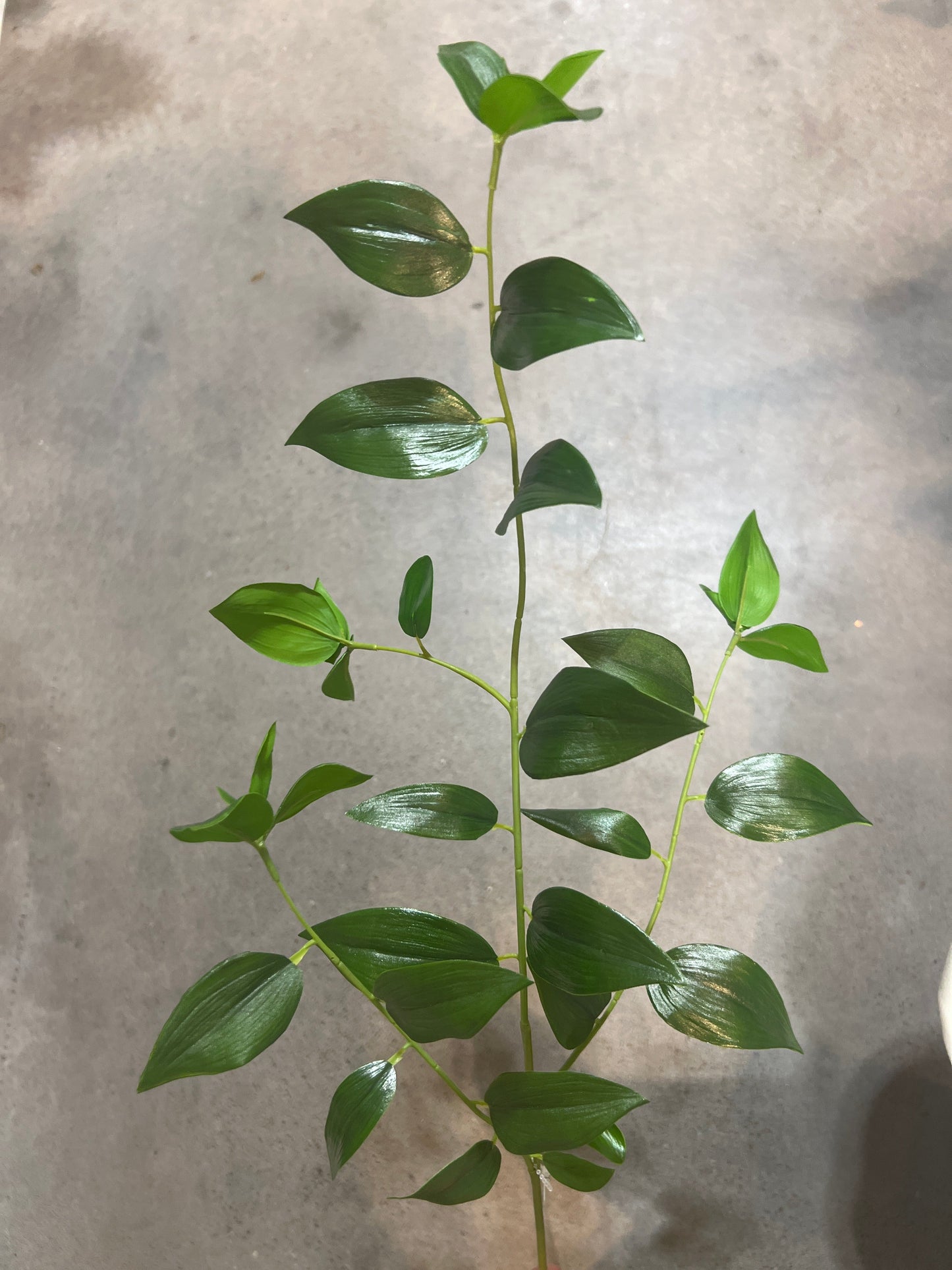 SY11130 SMILAX SPRAY 33"