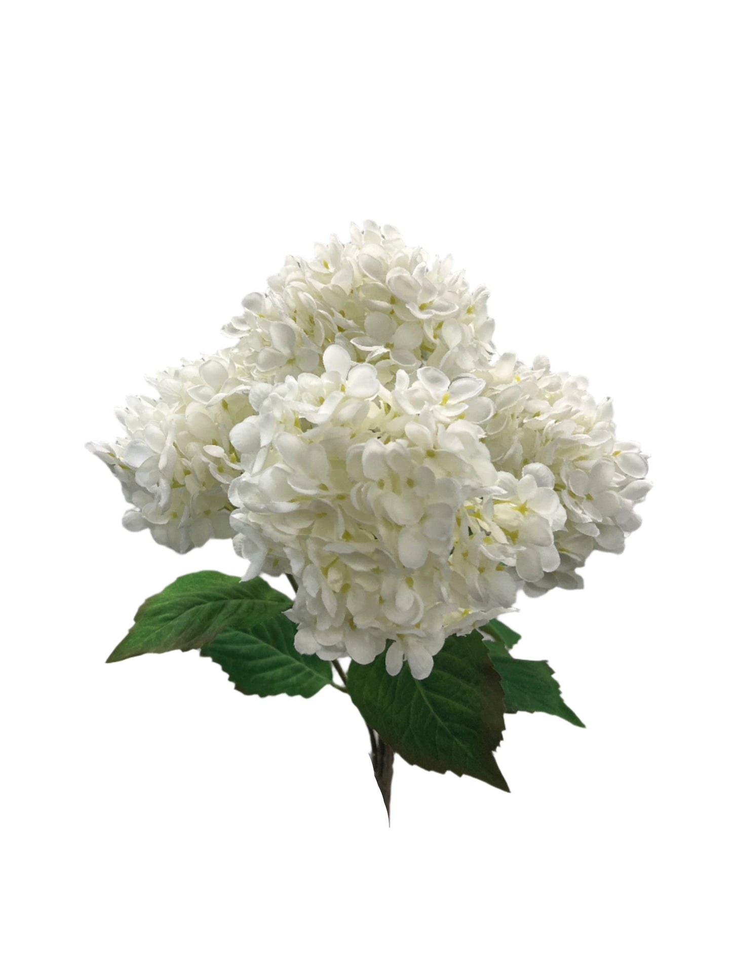 BF10269 ANNABELLA HYDRANGEA BUSHx5 23"