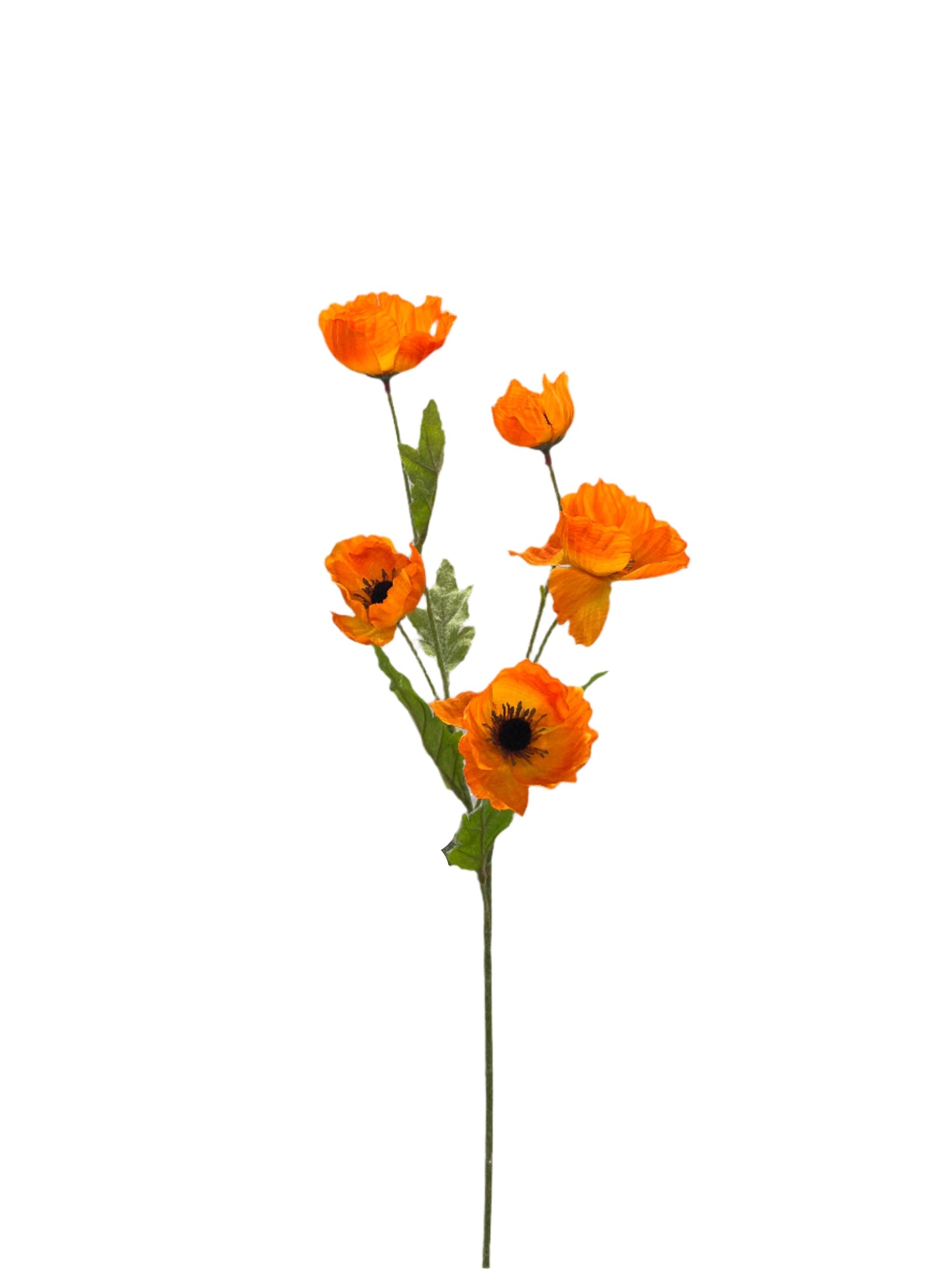 FL13532 MINI POPPY SPRAYx5F 28"