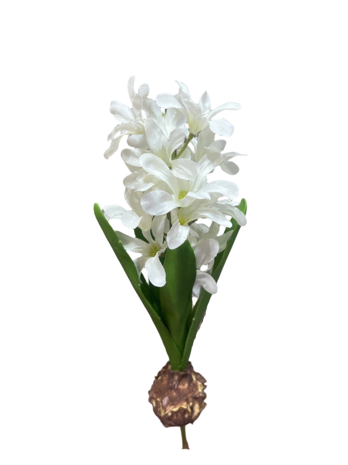 FL13575 HYACINTH w/BULD 14in-24/240P