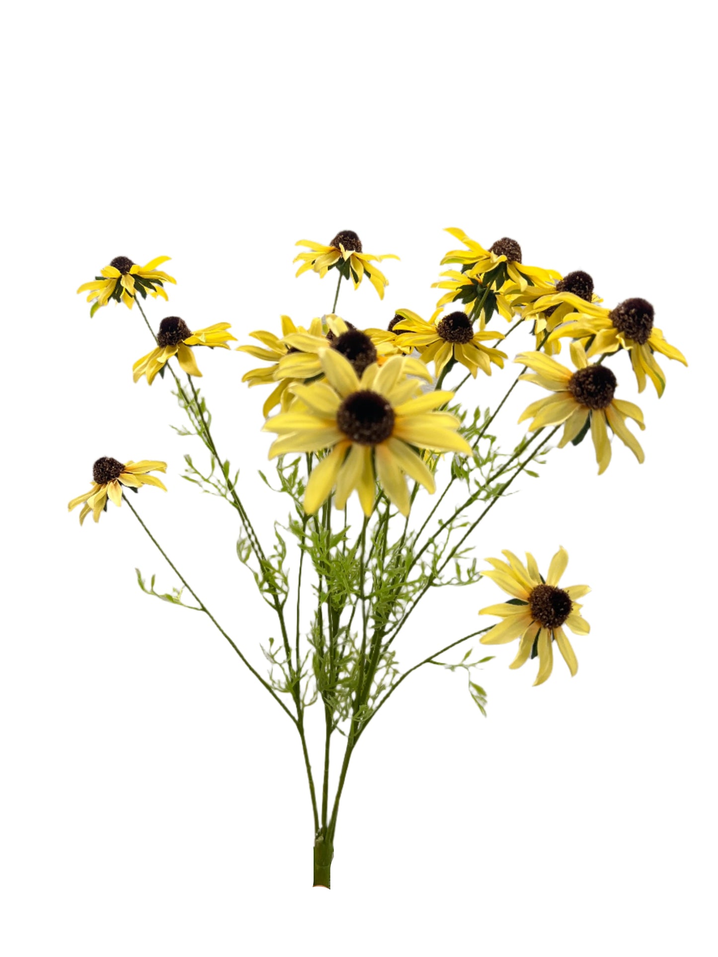 BF10268 BLACK EYE SUSAN BUSHx5 22"