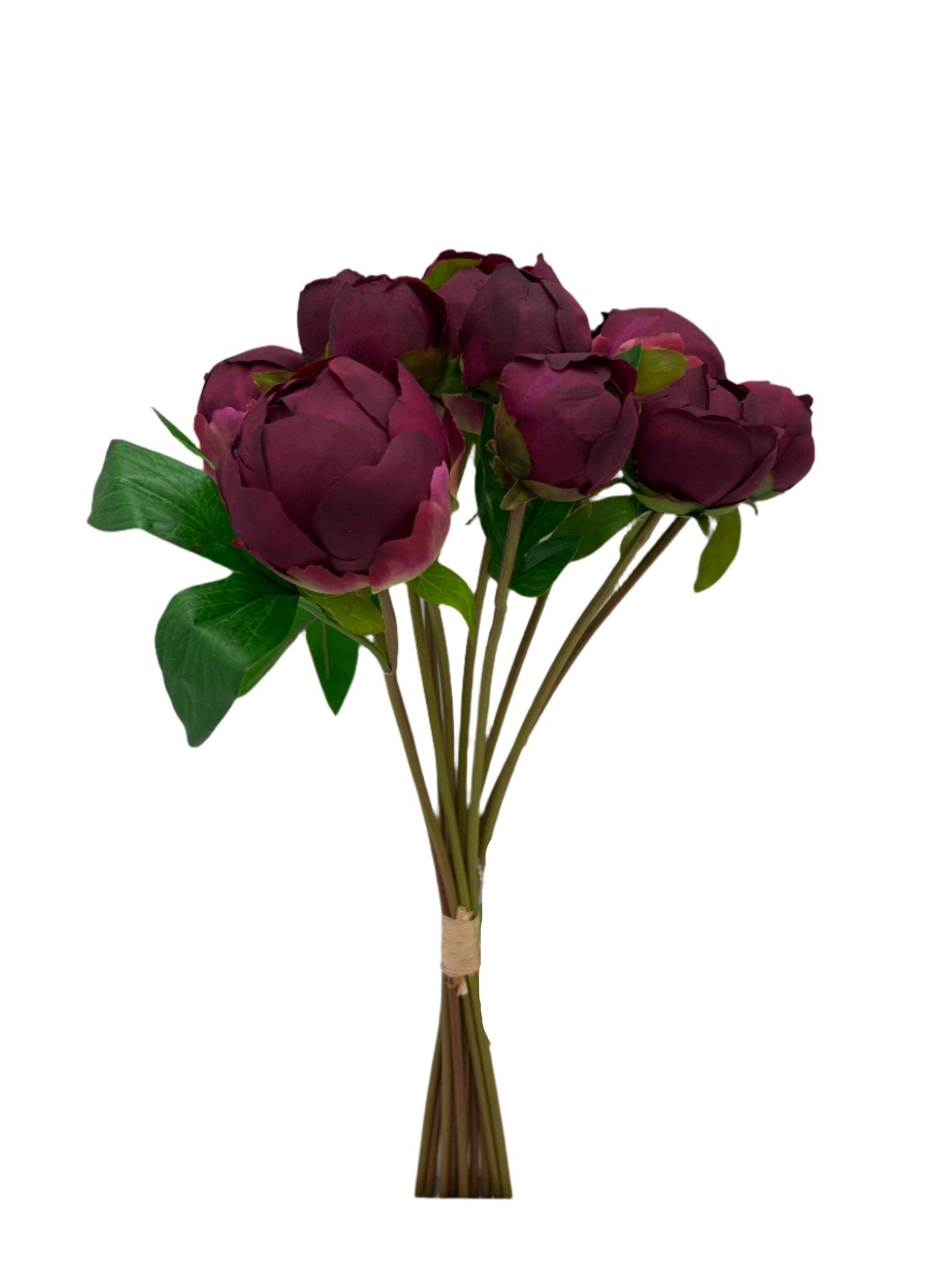 FN20041 PEONY BUD BUNDLEx10 (NAT),16in-12BN