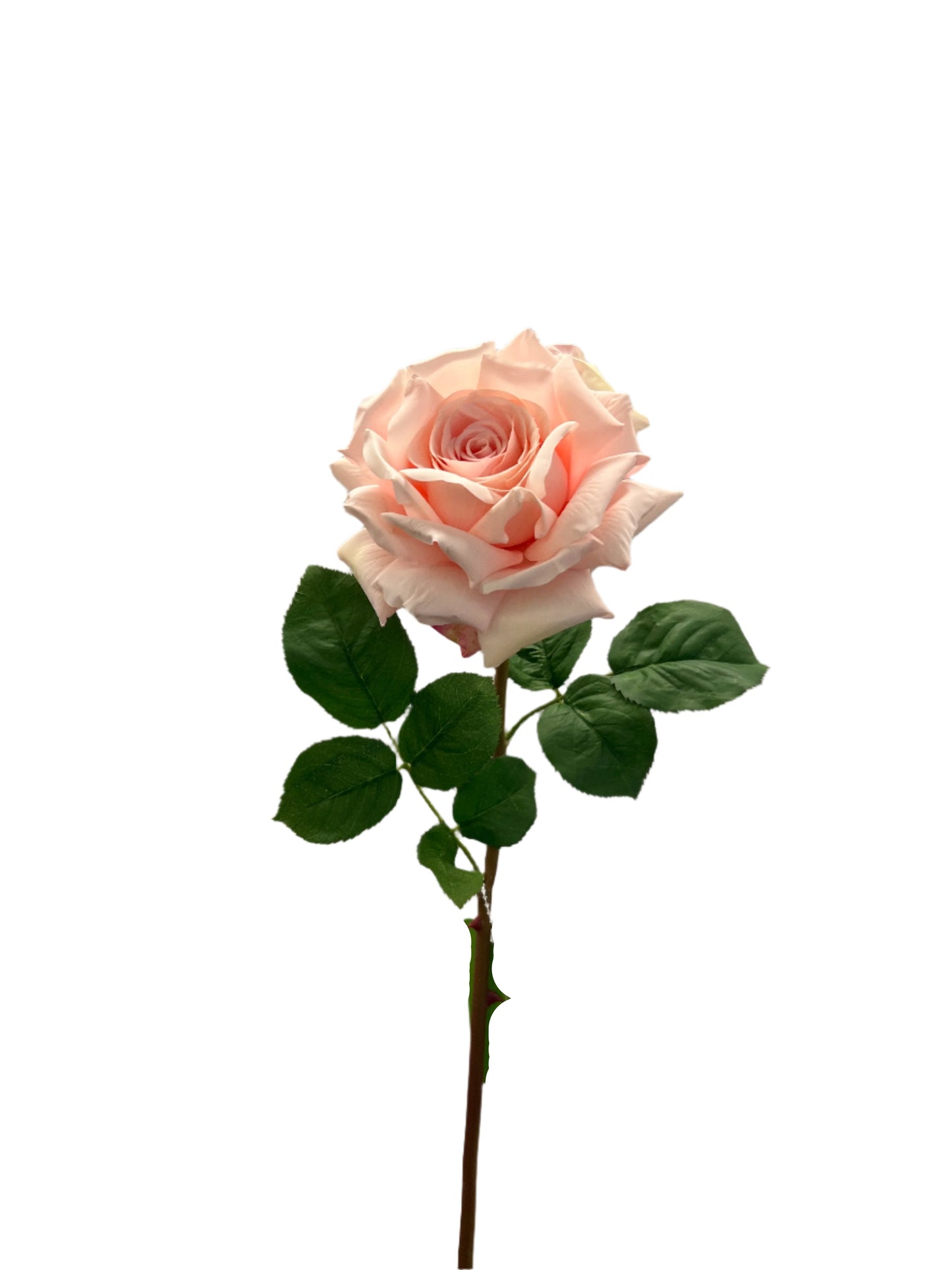 FL13551 OPEN ROSE SPRAY 29"