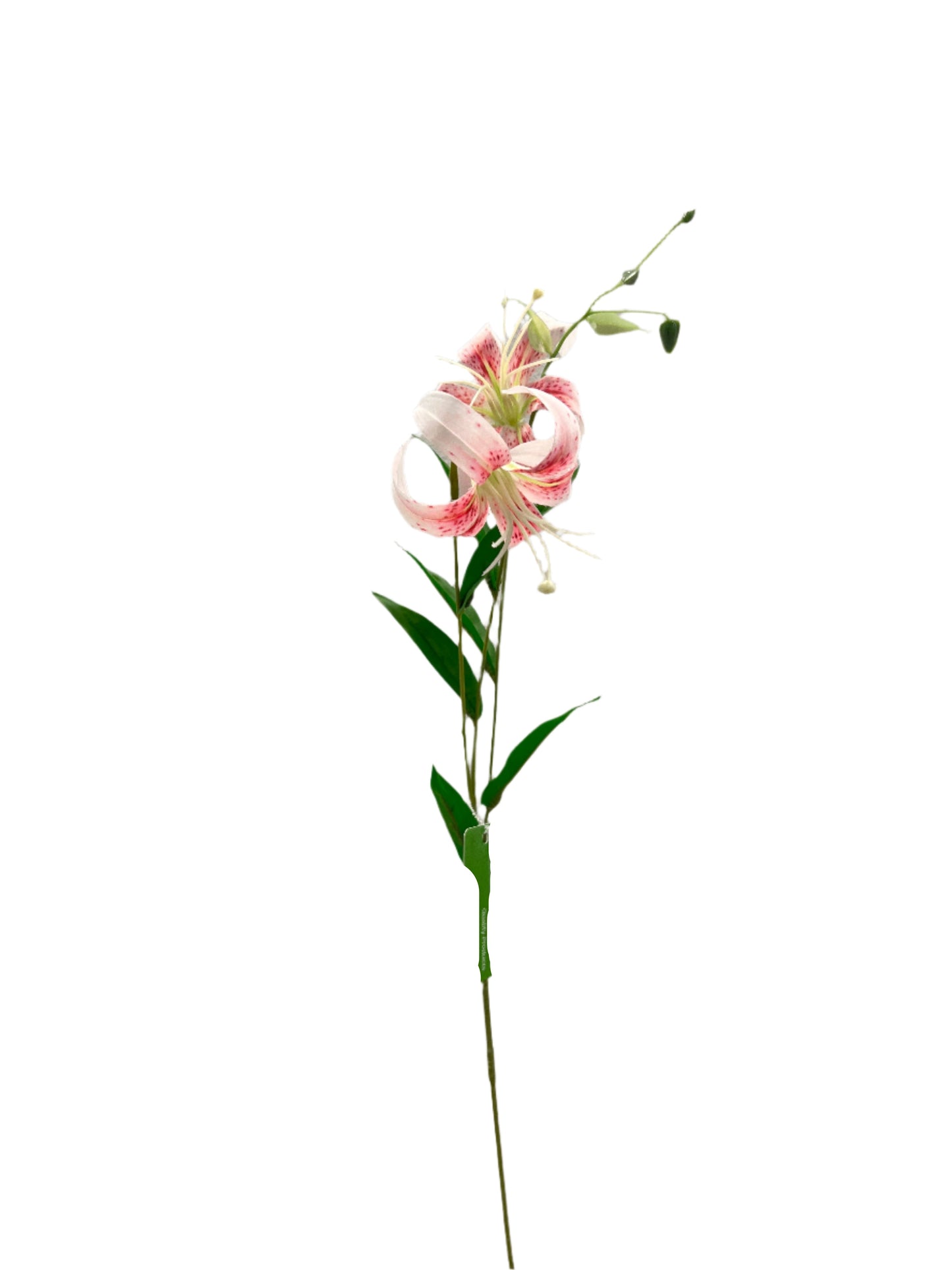 FL13573 LILY SPRAYx2F 31in-48/480P