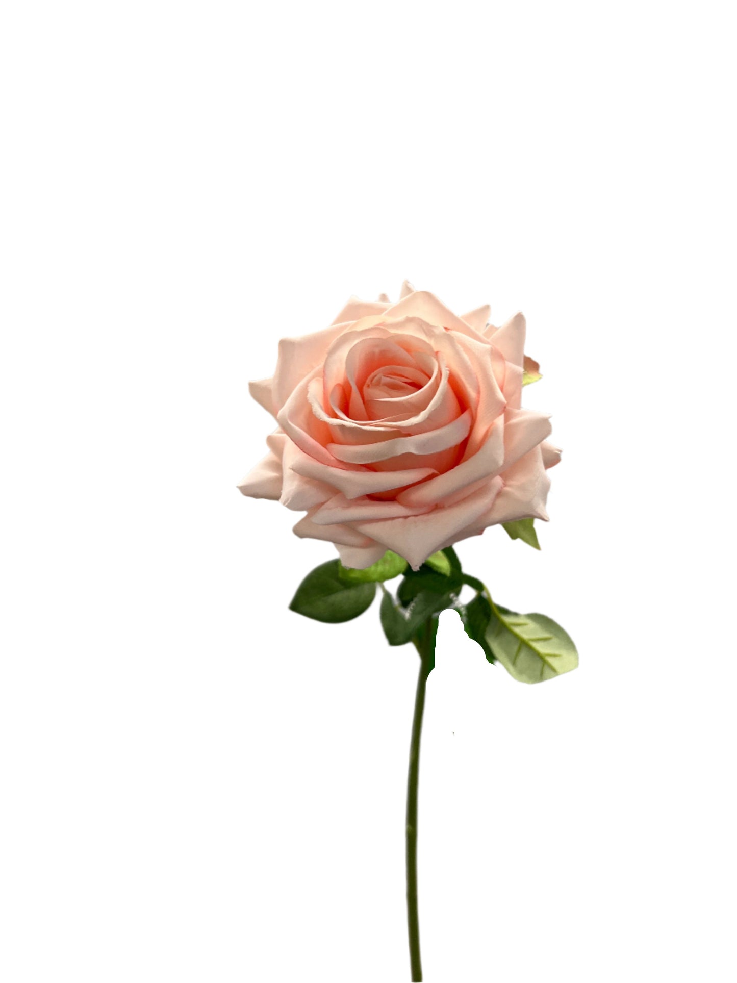 FL13539 QUEEN ROSE SPRAY 24"