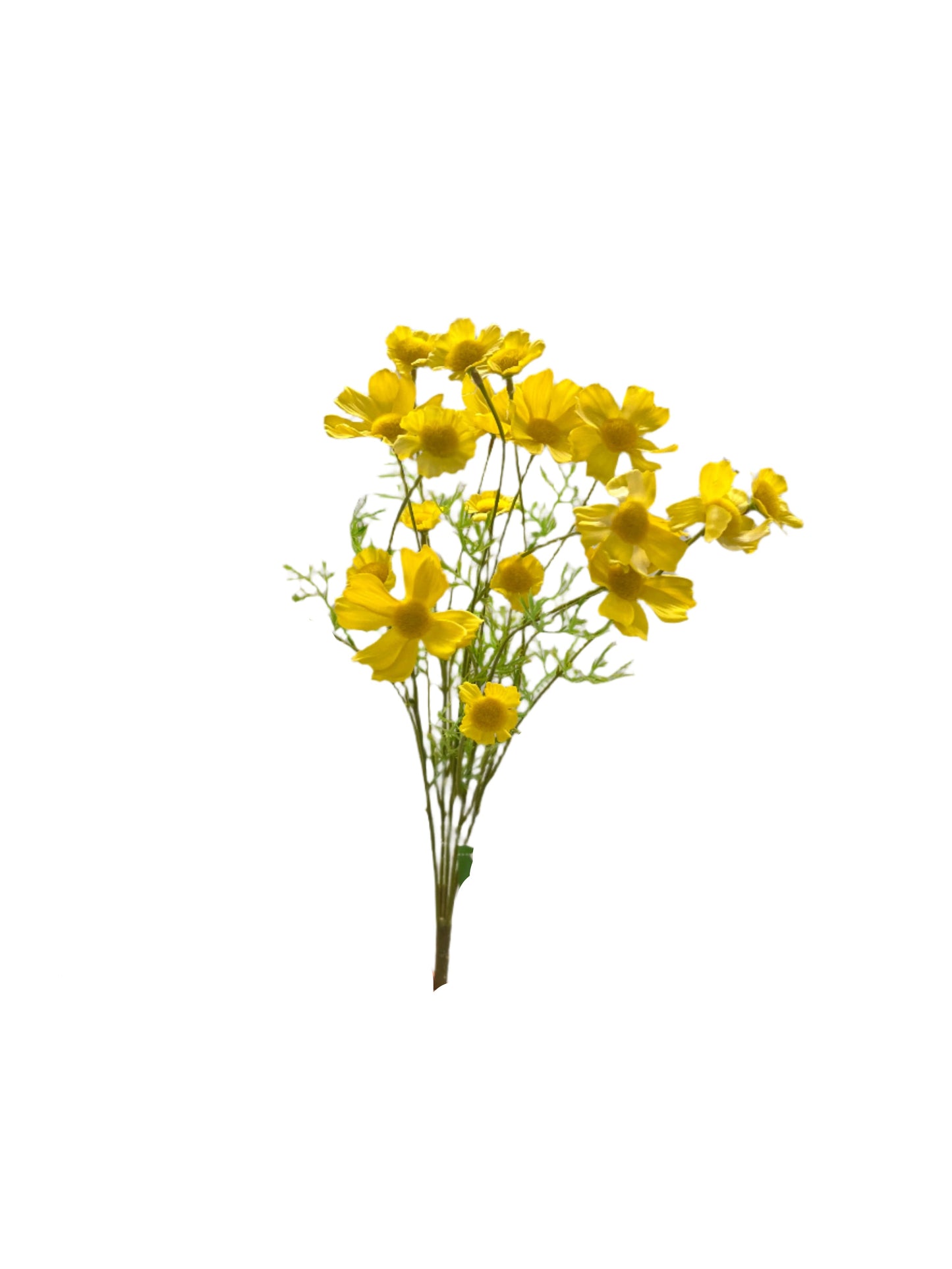 FL13528 COSMOS BUSH 23.5"