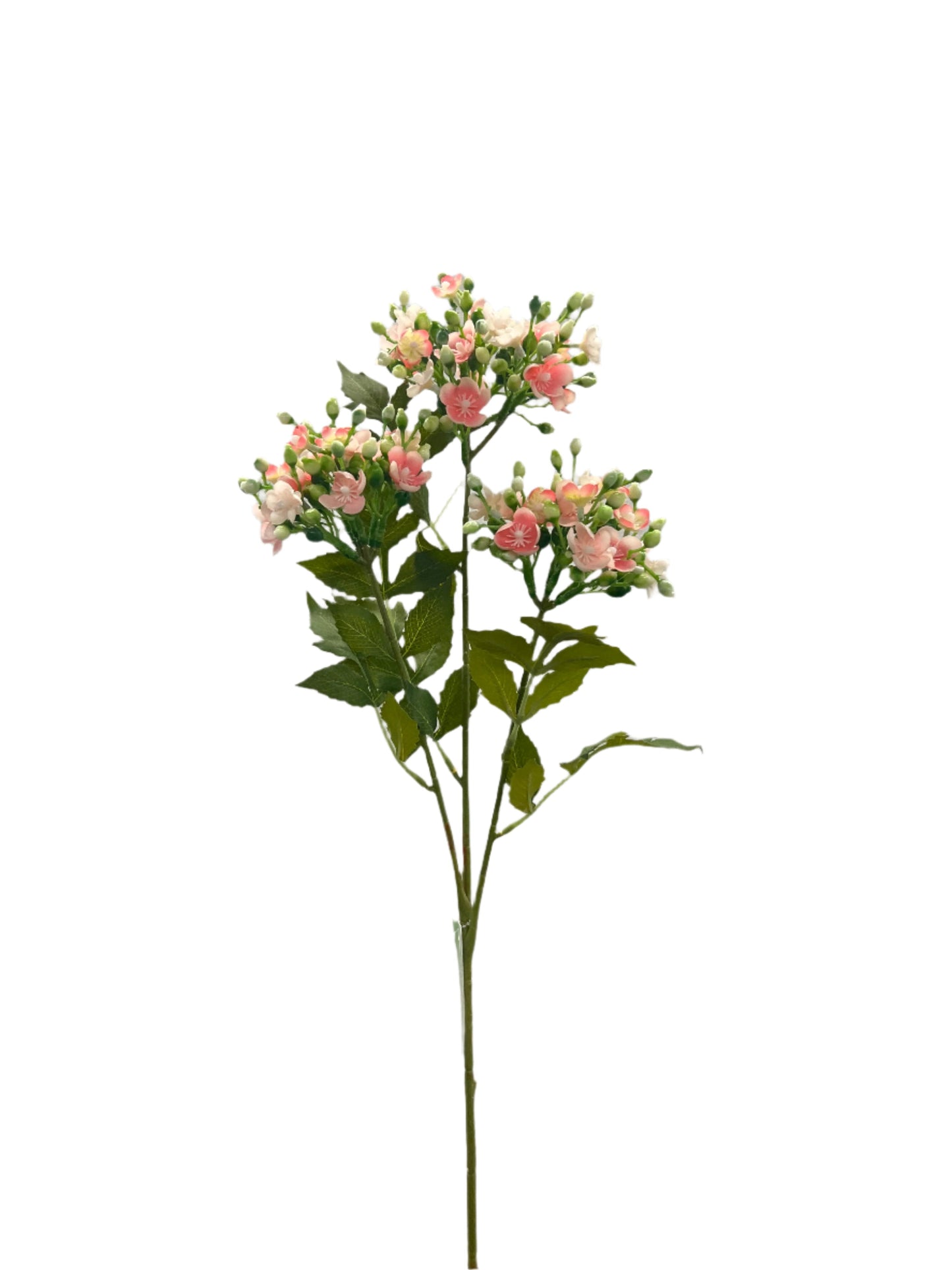 FL13514 STEPHANOTIS SPRAYx3 32"