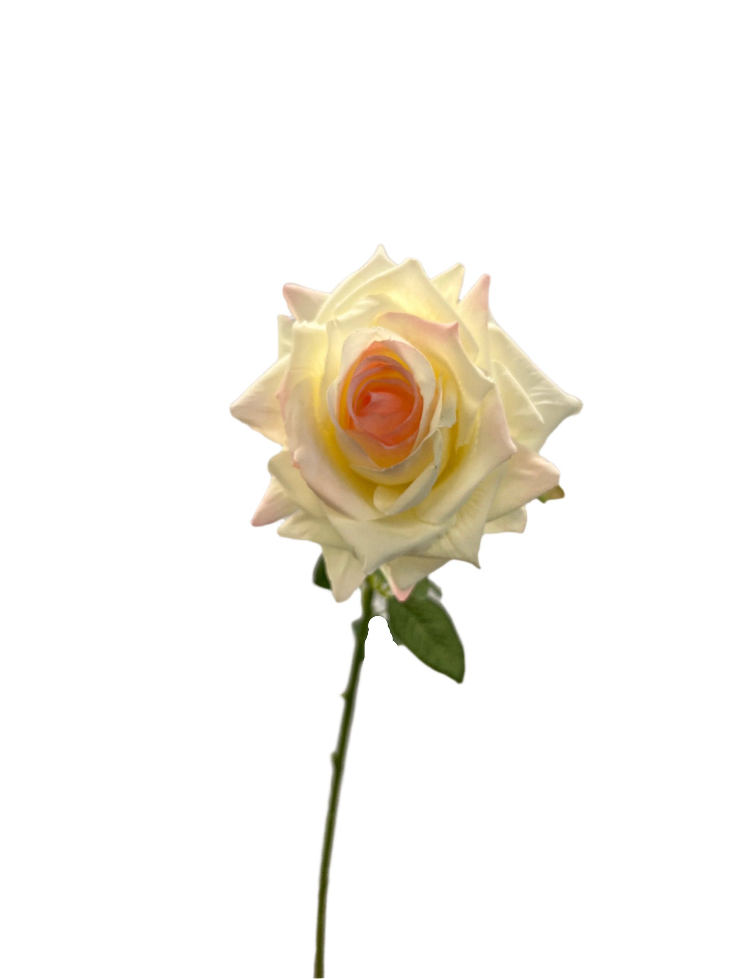FL13539 QUEEN ROSE SPRAY 24"