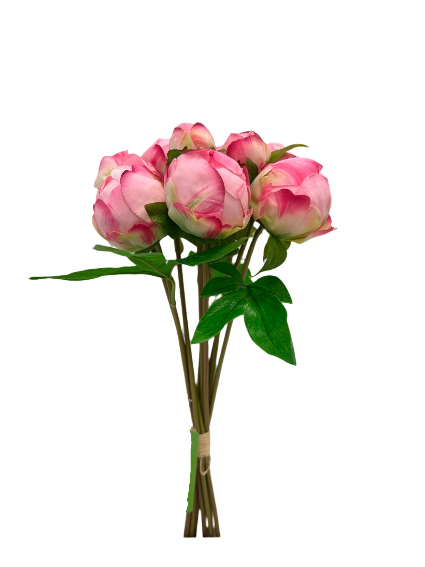 FN20041 PEONY BUD BUNDLEx10 (NAT),16in-12BN