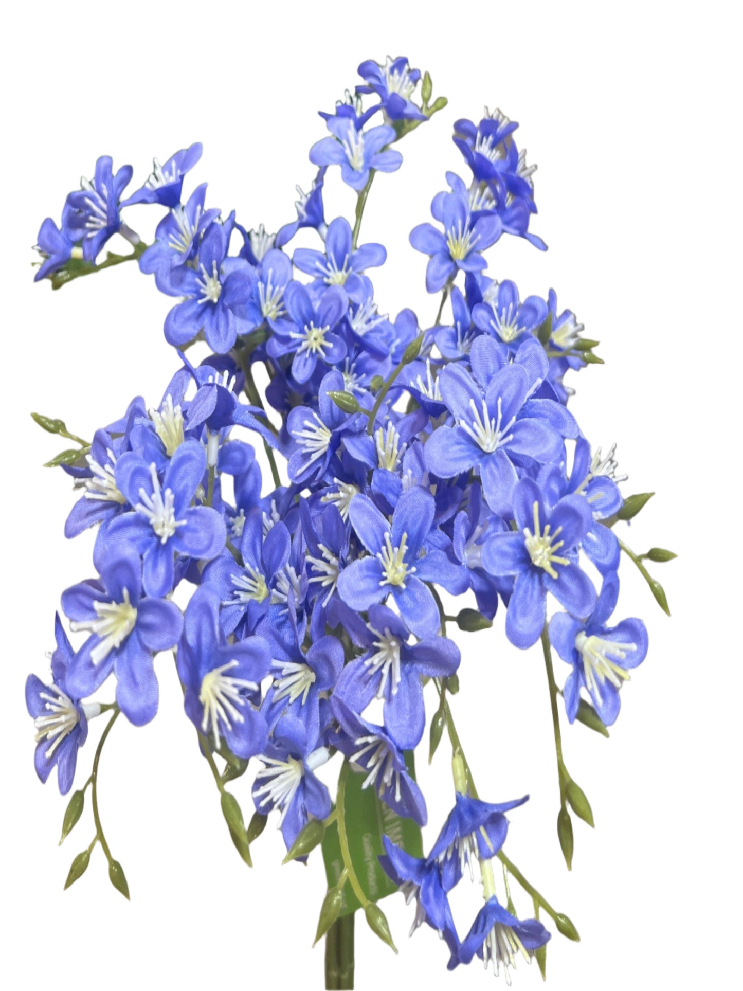 PA10403 MINI FREESIA BUNDLEx6 13"