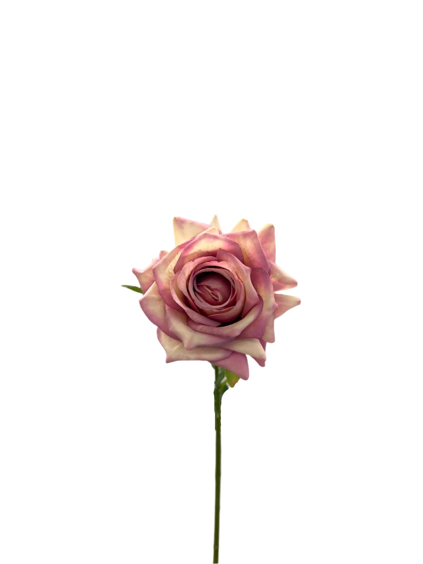 FL13539 QUEEN ROSE SPRAY 24"