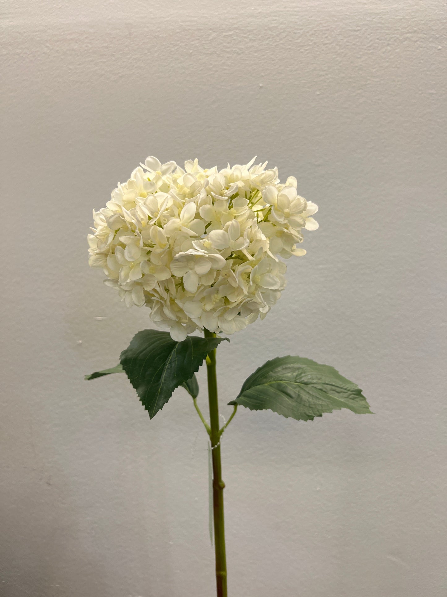 FL13611 ANNABELLA HYDRANGEA 33"