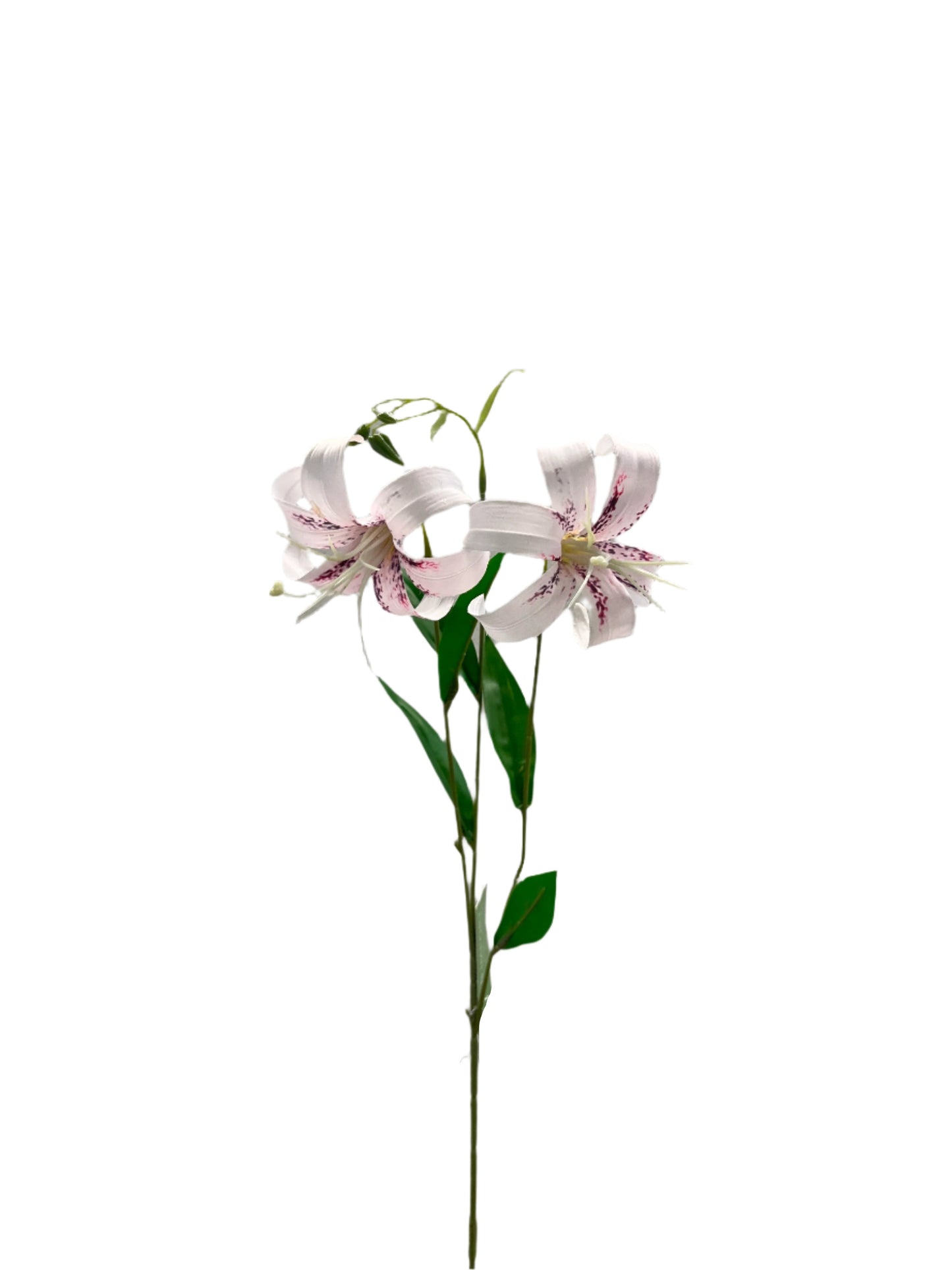 FL13573 LILY SPRAYx2F 31in-48/480P