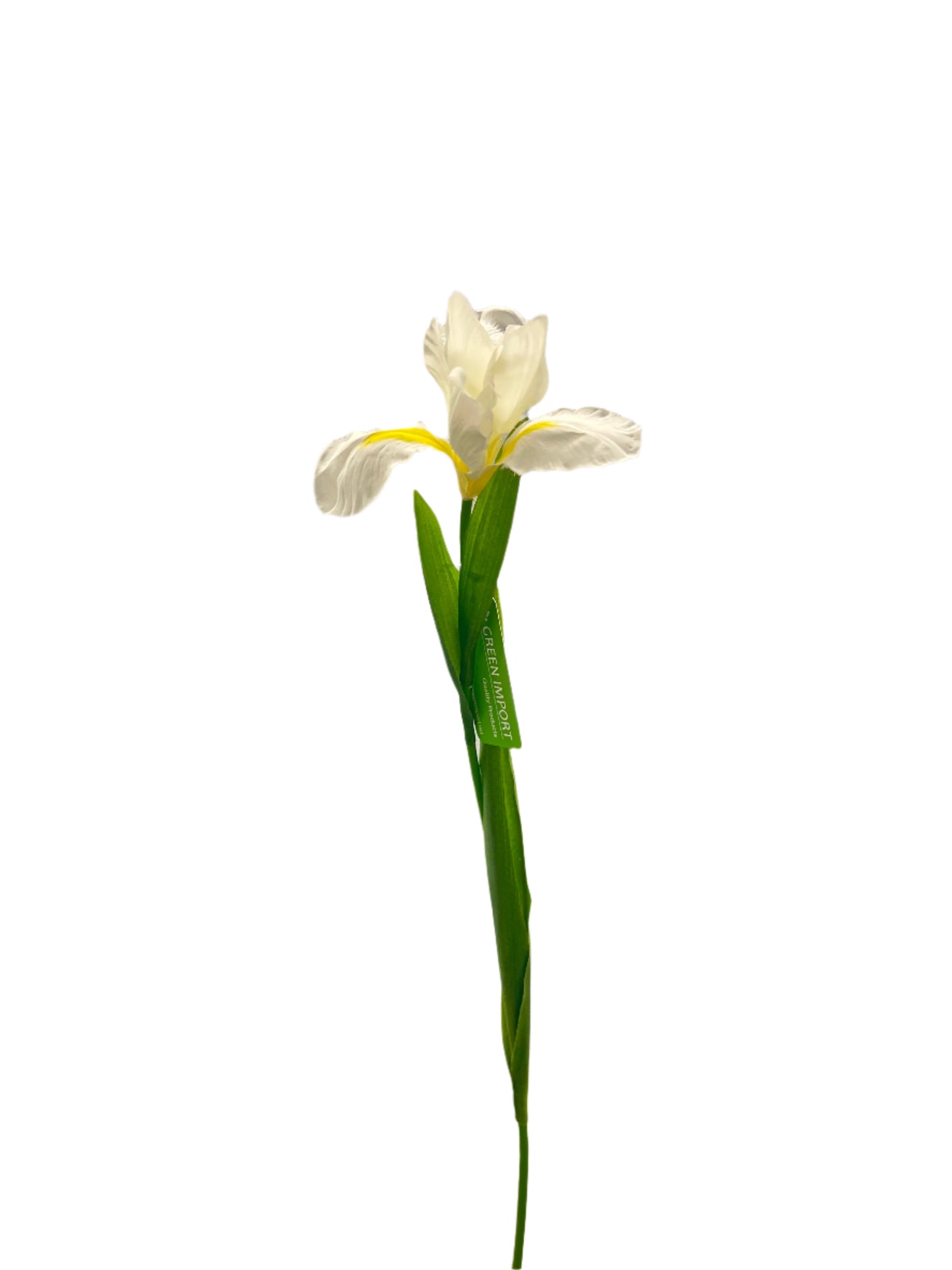 FL13535 DUTCH IRIS SPRAY 30"