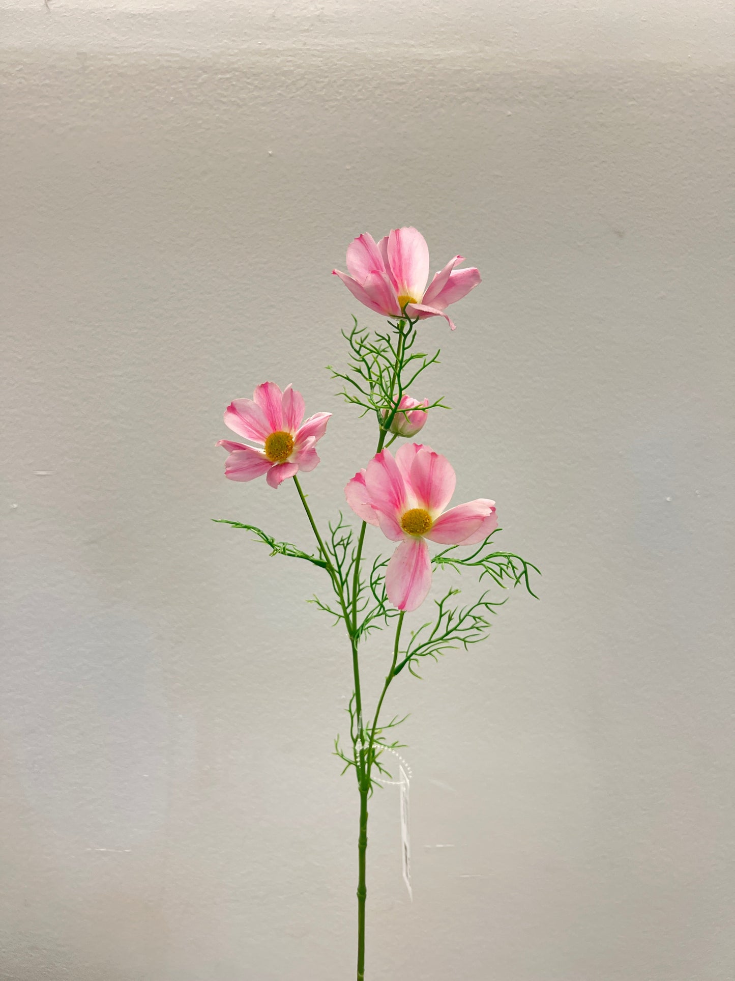 FL13593 COSMOS SPRAY (NAT) 28"