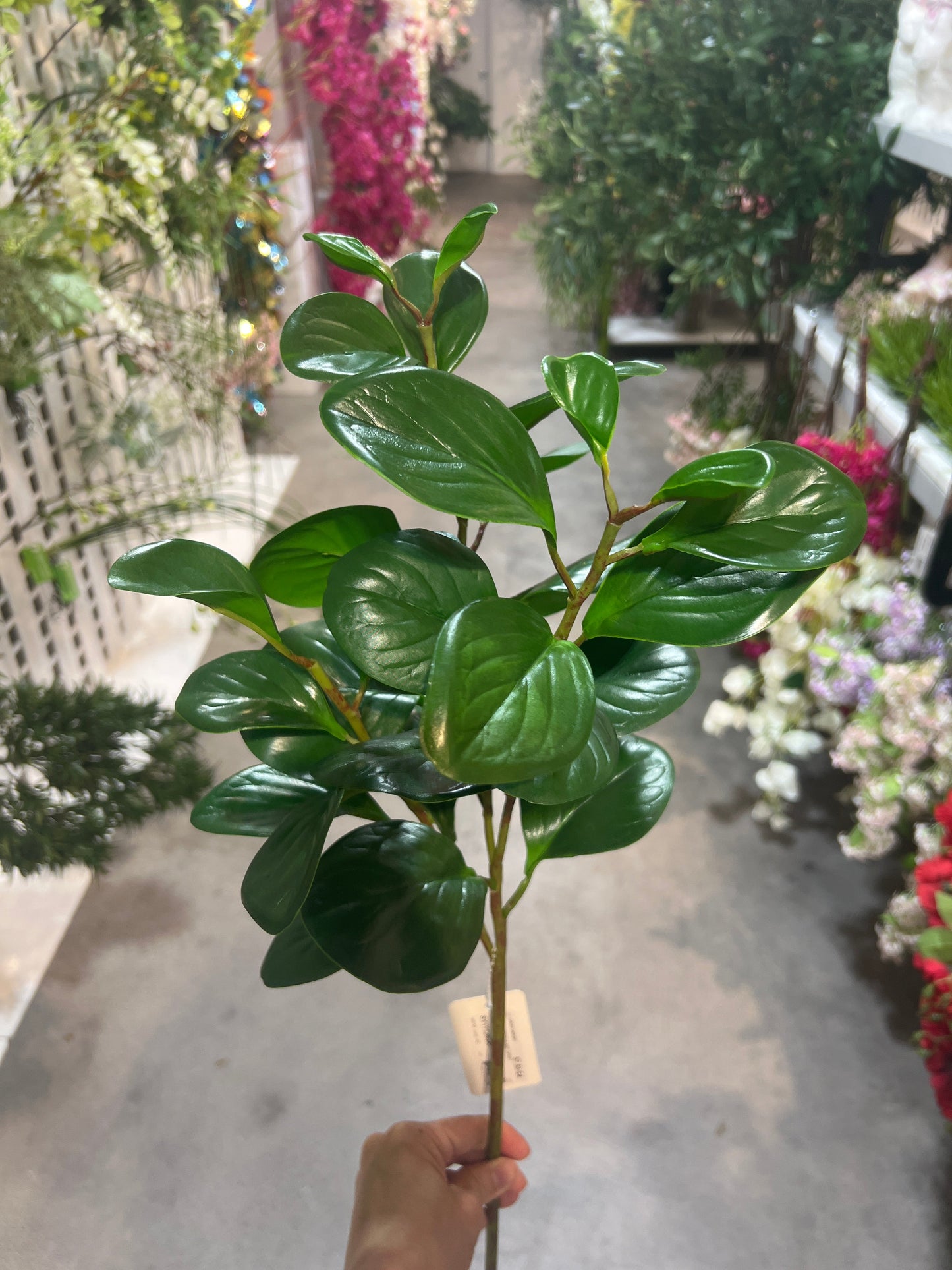 SY11128 BABY RUBBER PLANT SPRAY 26"