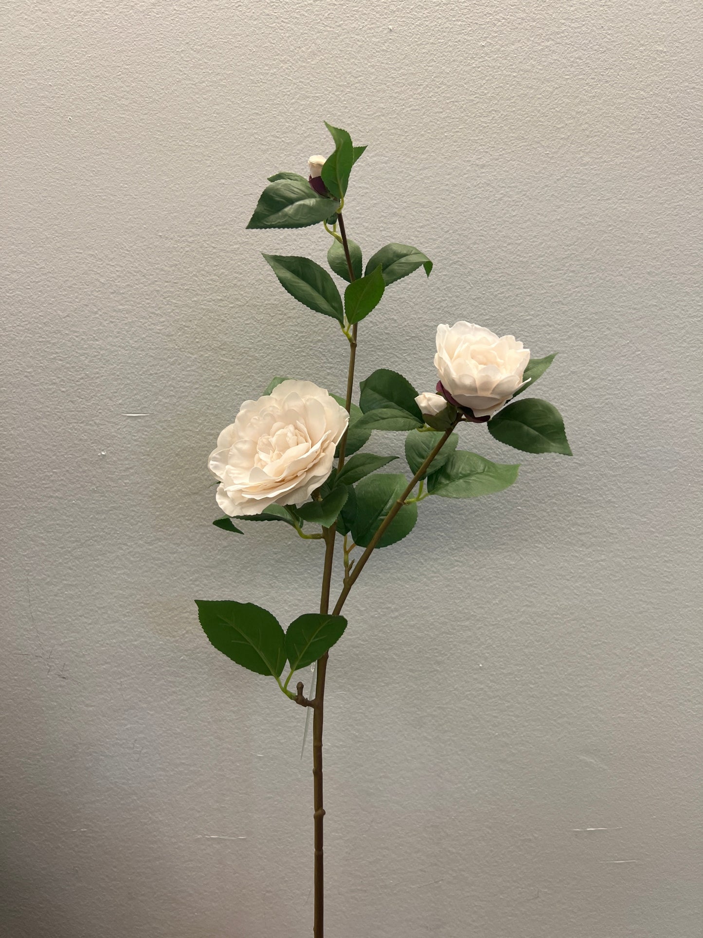 FL13614 CAMELLIA SPRAY (NAT) 33.5"