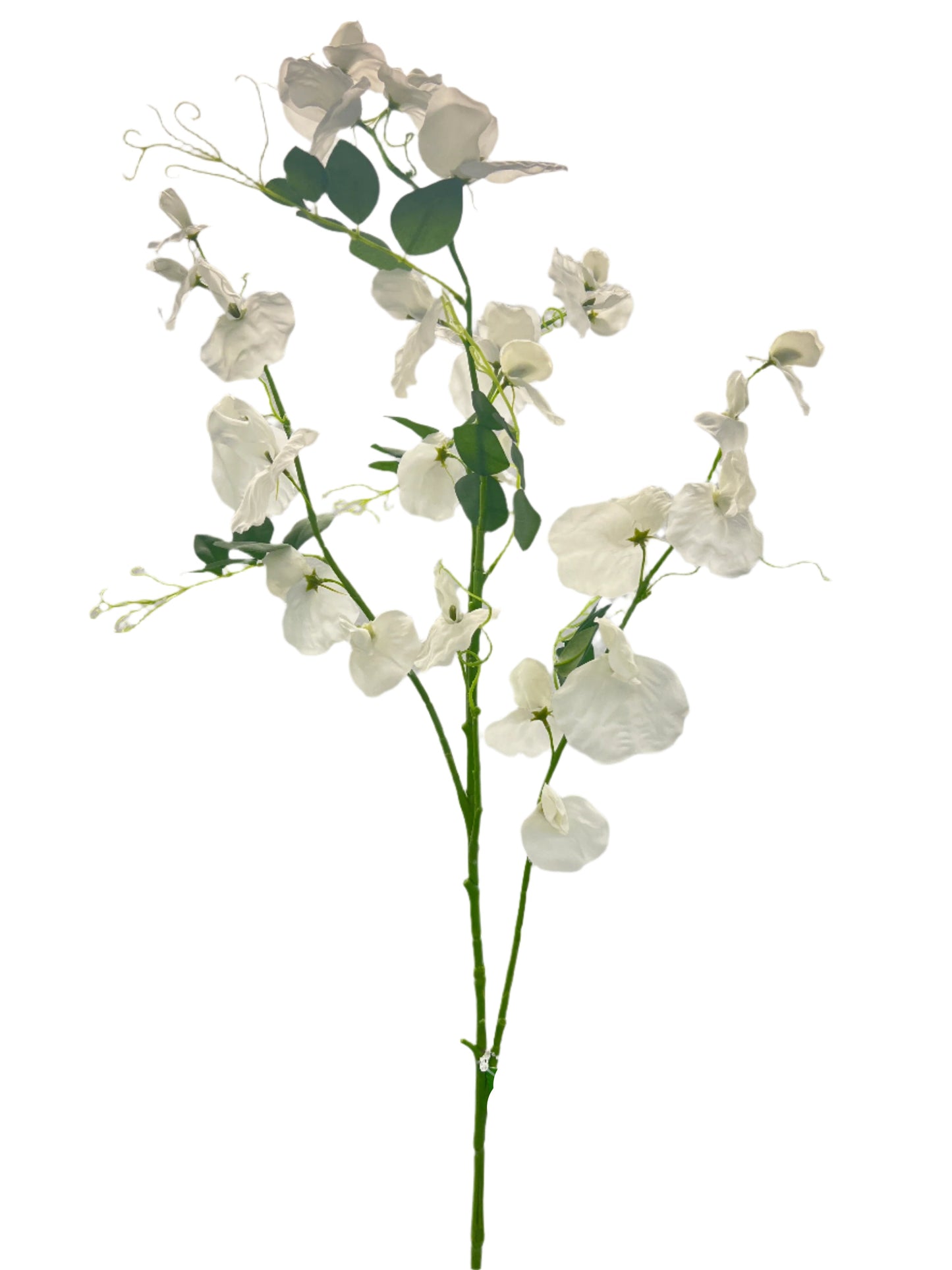 FL13512 SWEET PEA SPRAYx5 55"