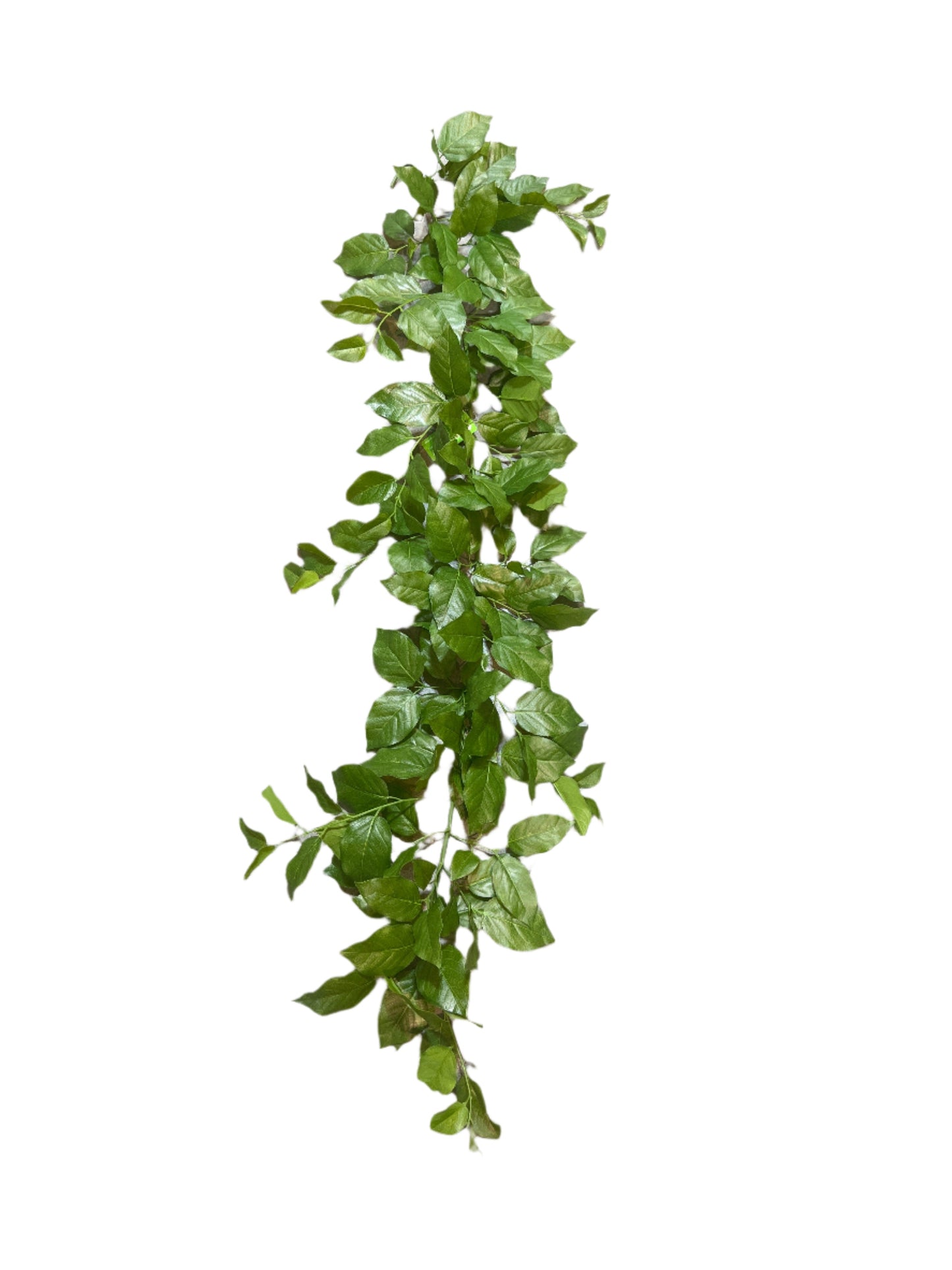PM10511 SALAL LEAF GARLAND (UV) 5'