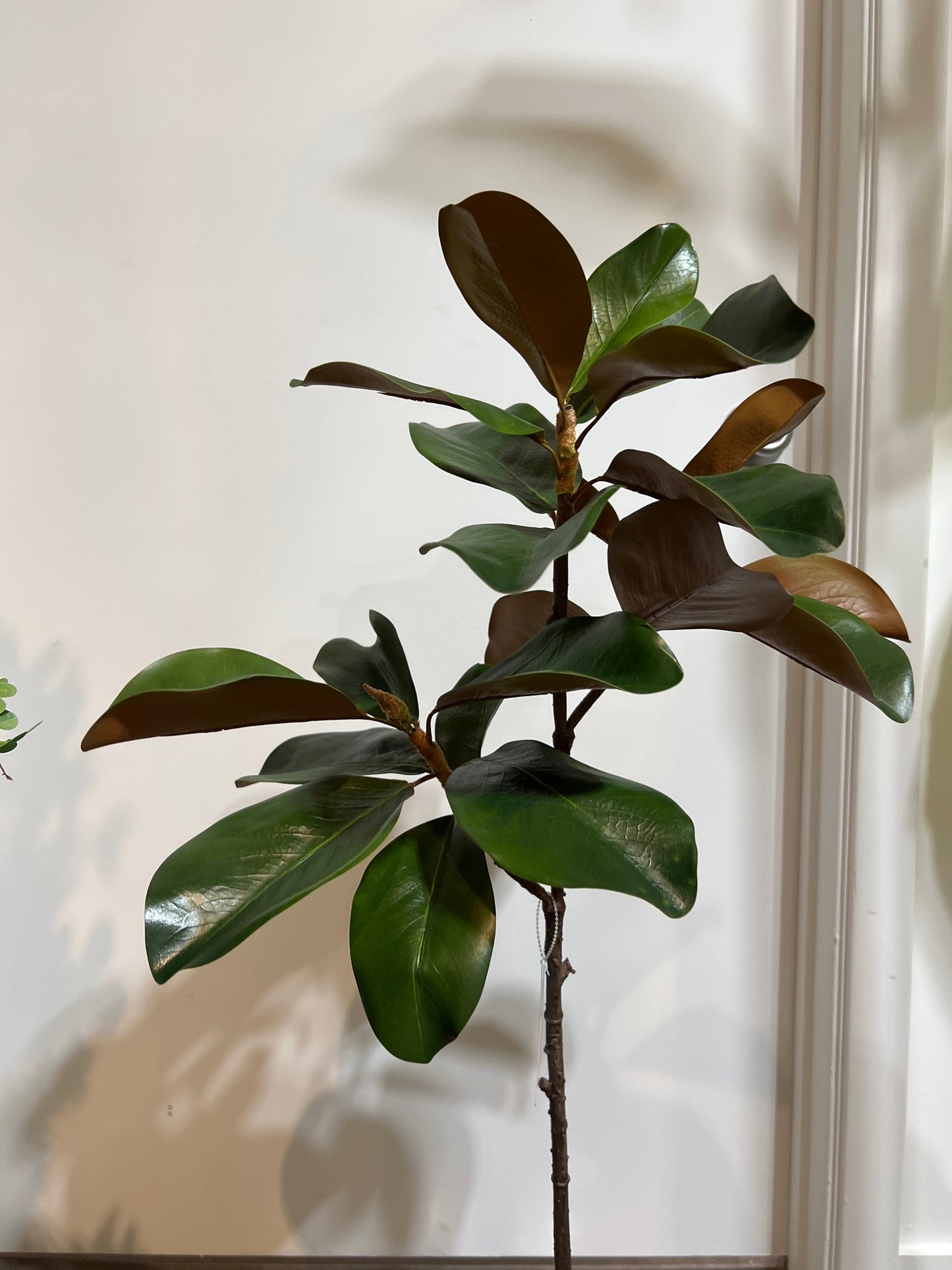 FL13353 MAGNOLIA LEAF SPRAY,41in-12/60P