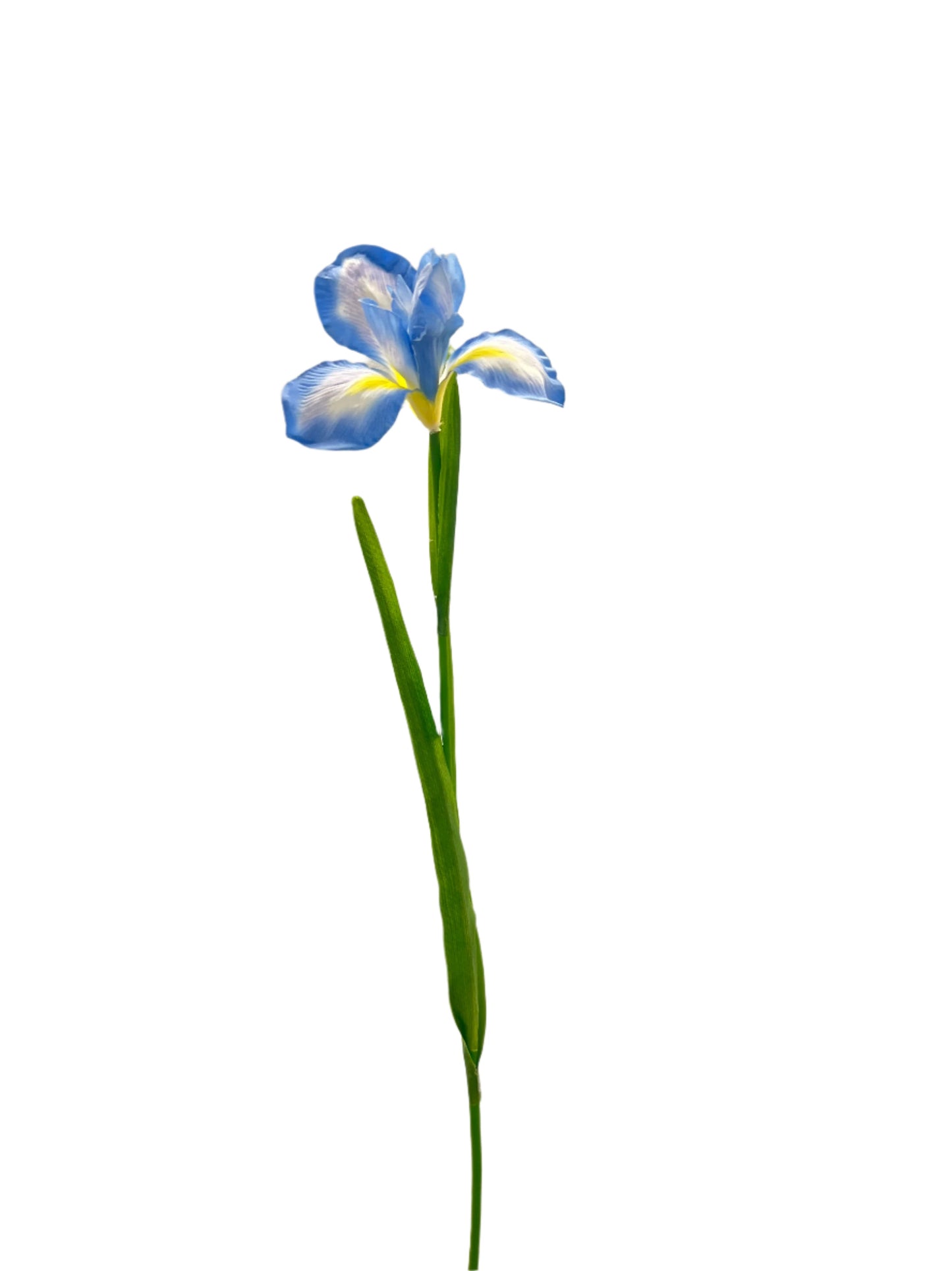 FL13535 DUTCH IRIS SPRAY 30"