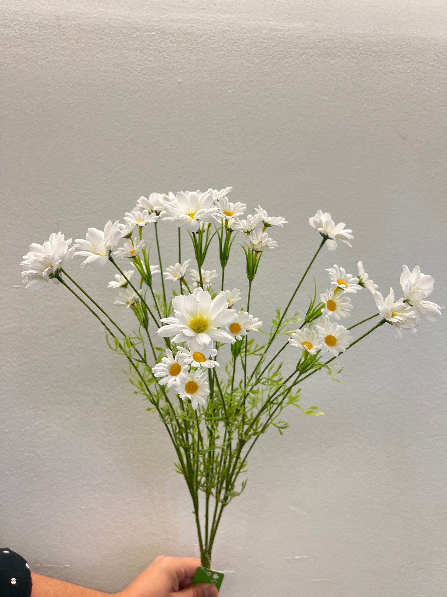BF10267 MARGUERITE BUSHx15 23"