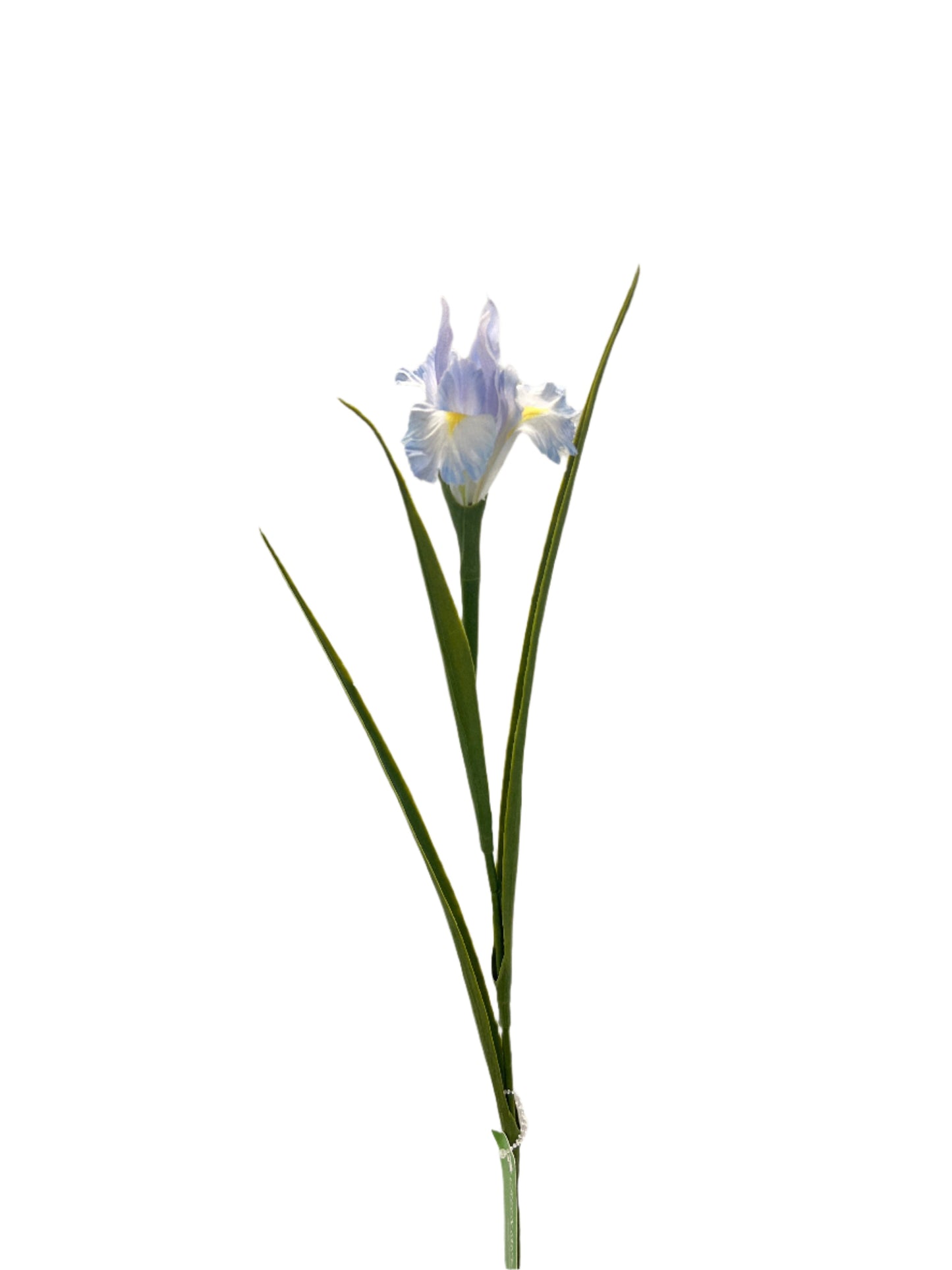 FL13571 IRIS 27.5in-36/360P