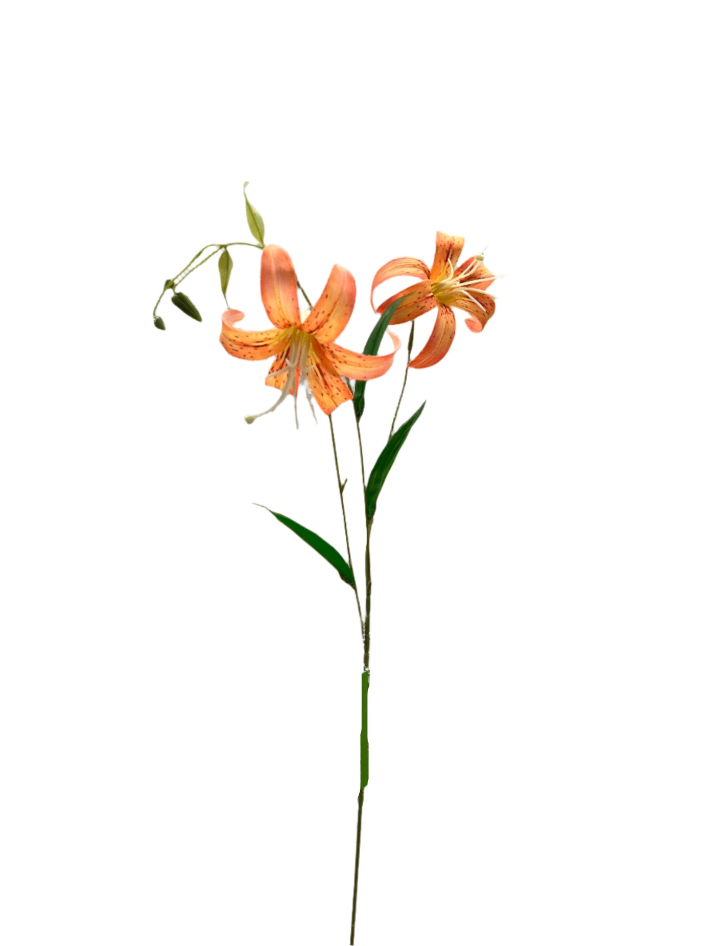 FL13573 LILY SPRAYx2F 31in-48/480P