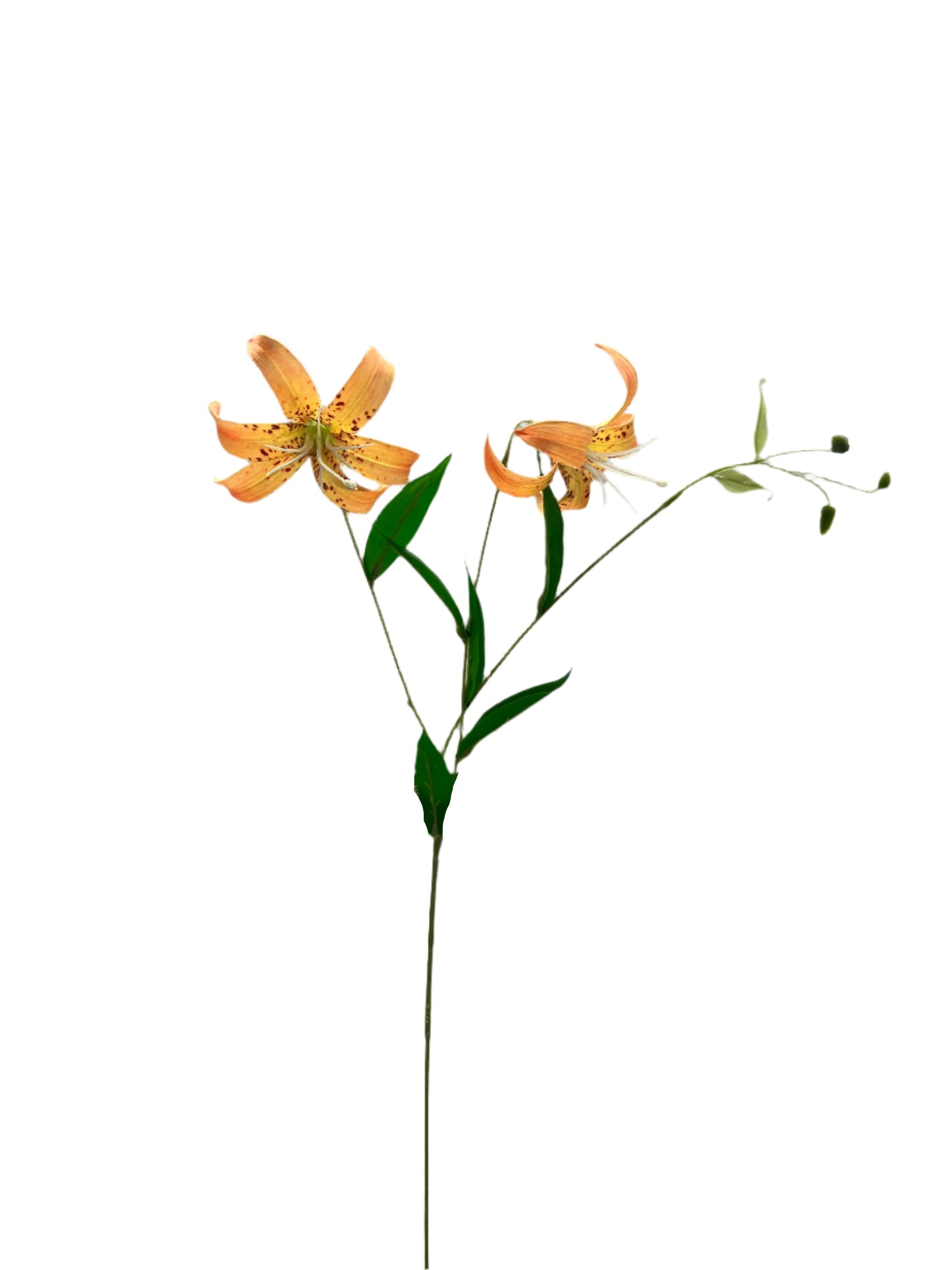 FL13573 LILY SPRAYx2F 31in-48/480P