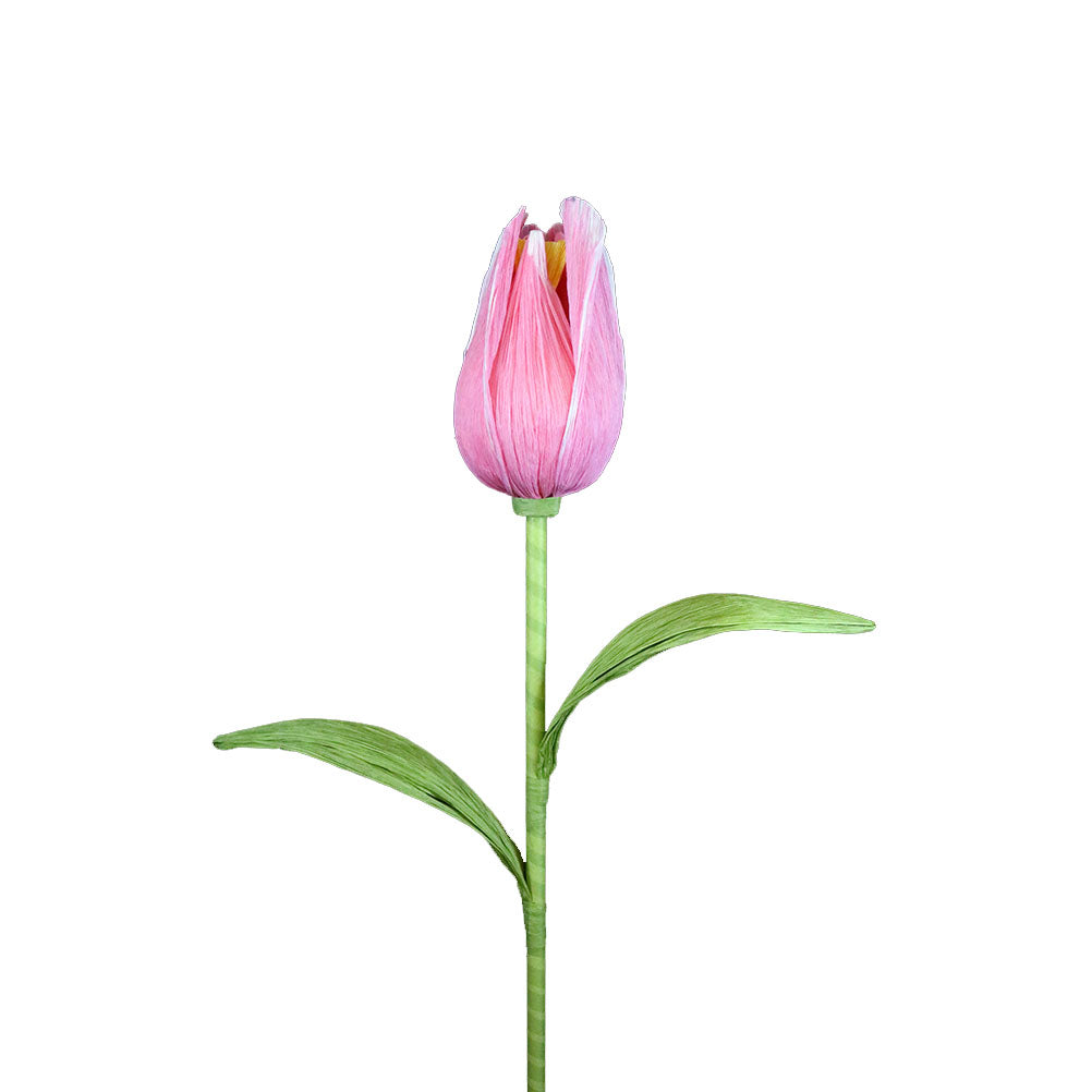 AC10102 GIANT TULIP,38in-12P/36/4.91'