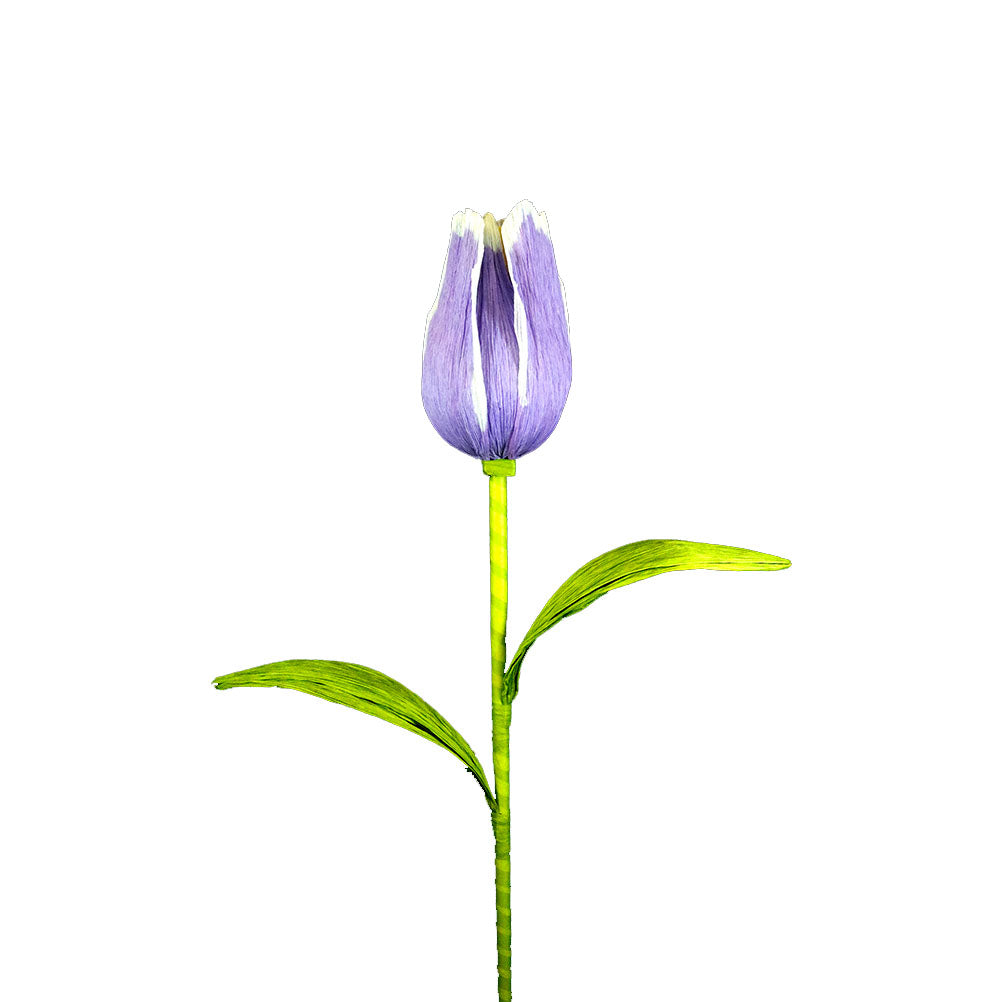 AC10102 GIANT TULIP,38in-12P/36/4.91'