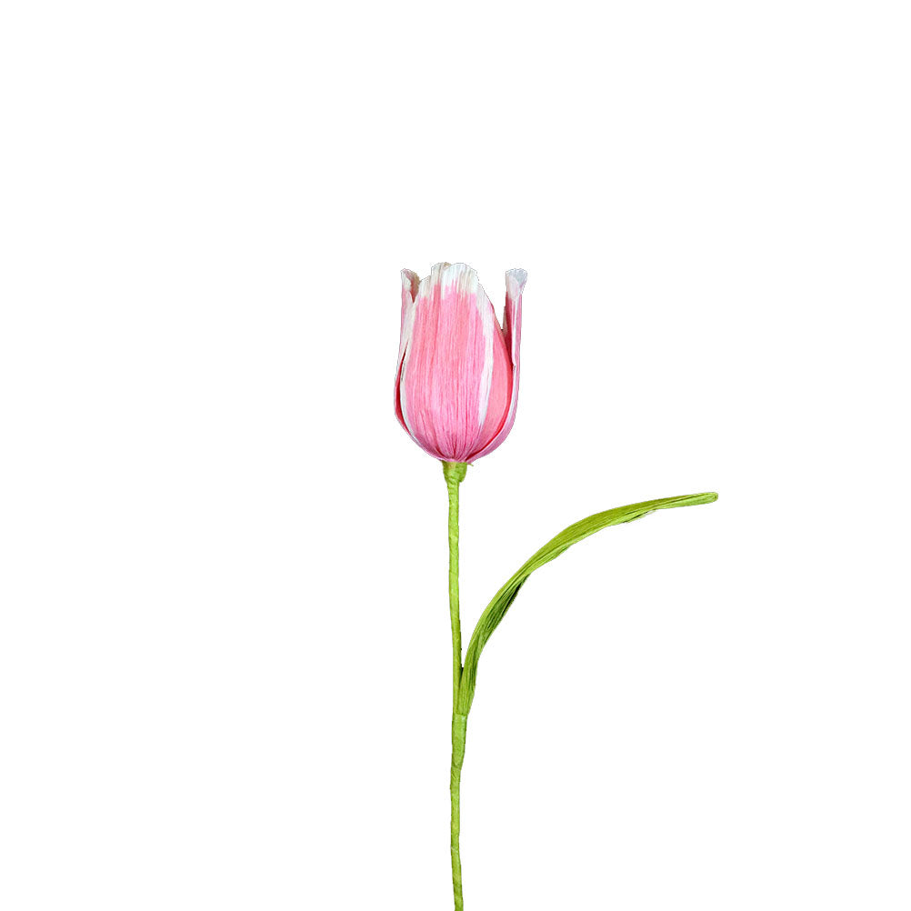 AC10103 BIG TULIP,27.5in-16P/64/5.19'