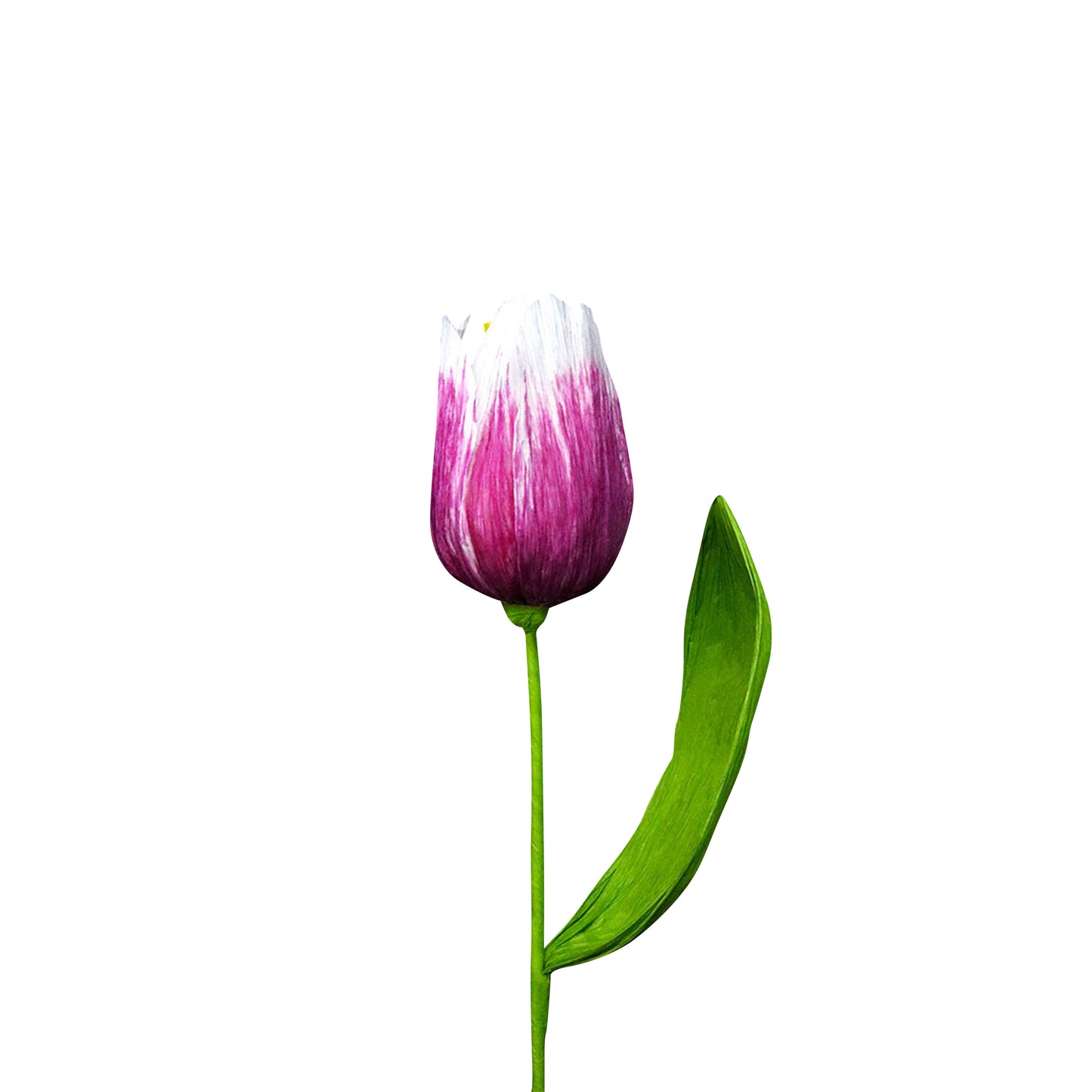 AC10103 BIG TULIP,27.5in-16P/64/5.19'